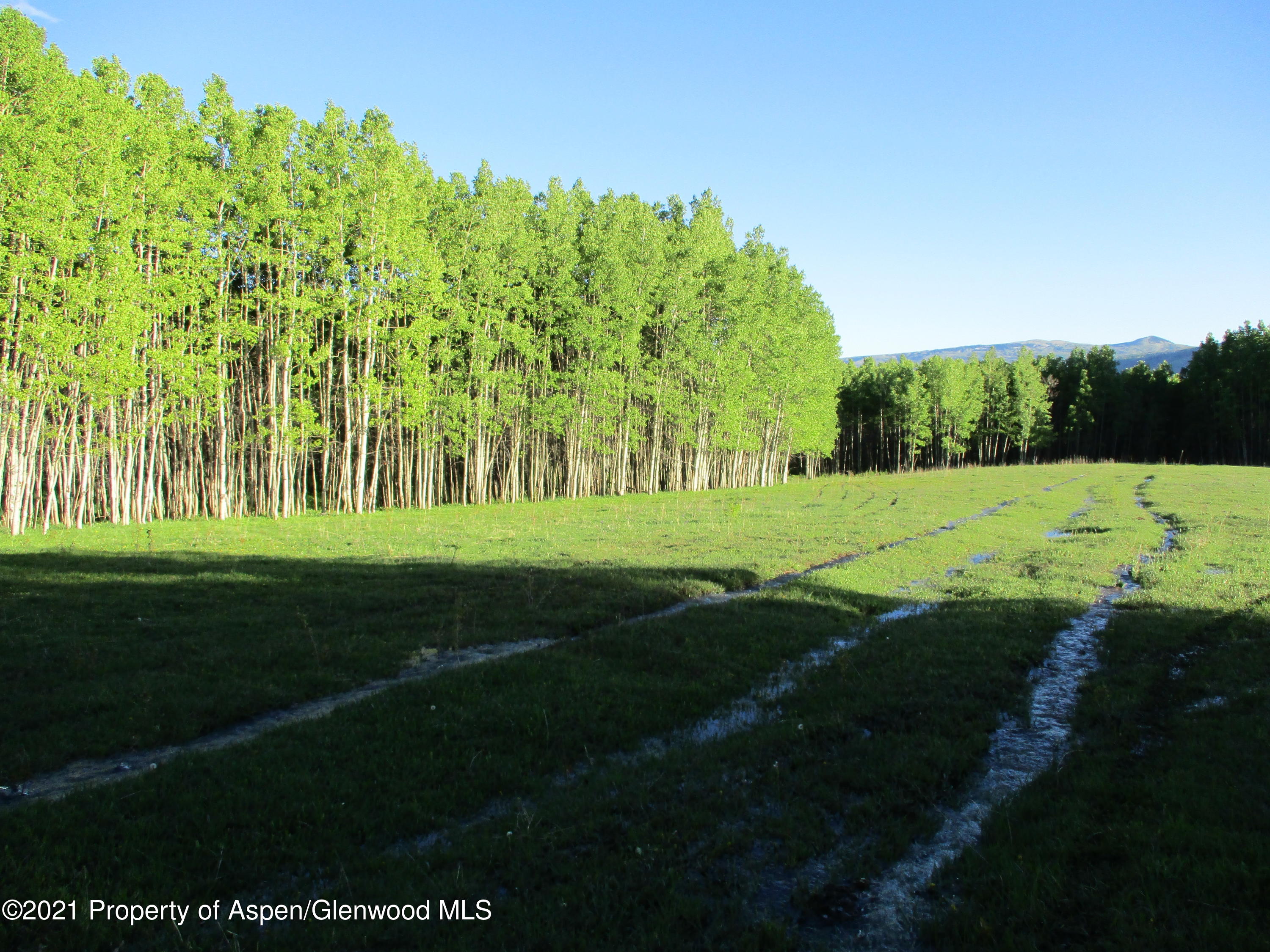 4645 Co Road 265 Somerset CO 81434