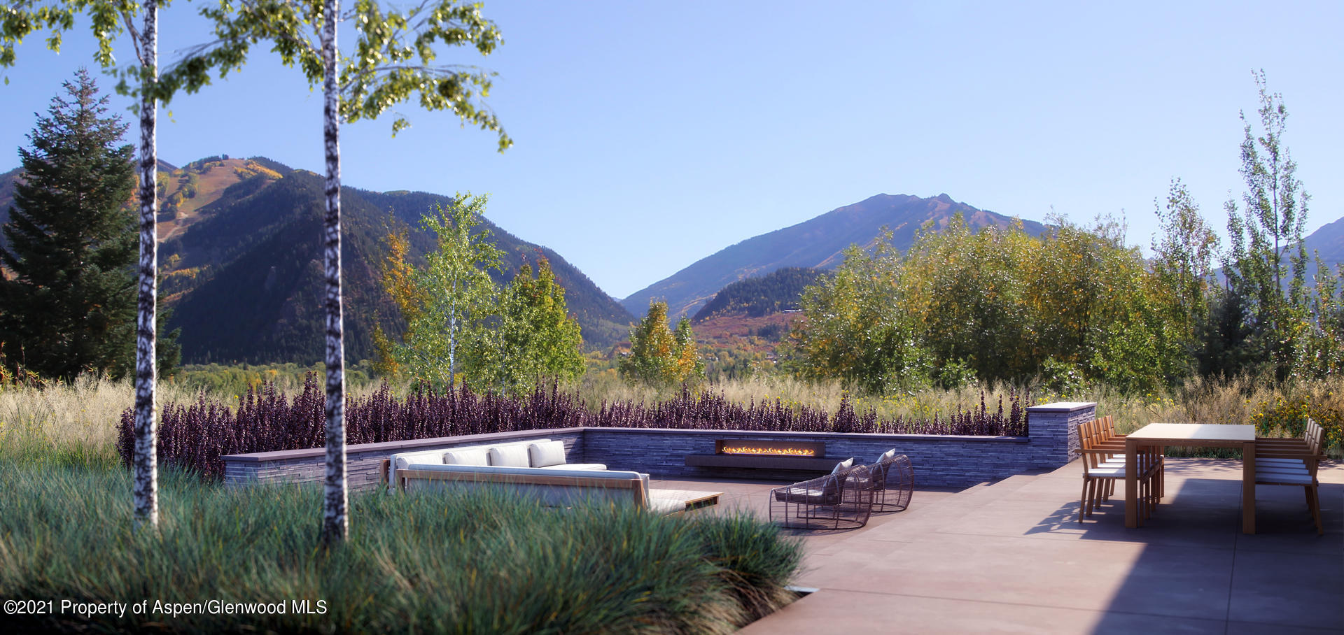 1099 Willoughby Way Aspen CO 81611