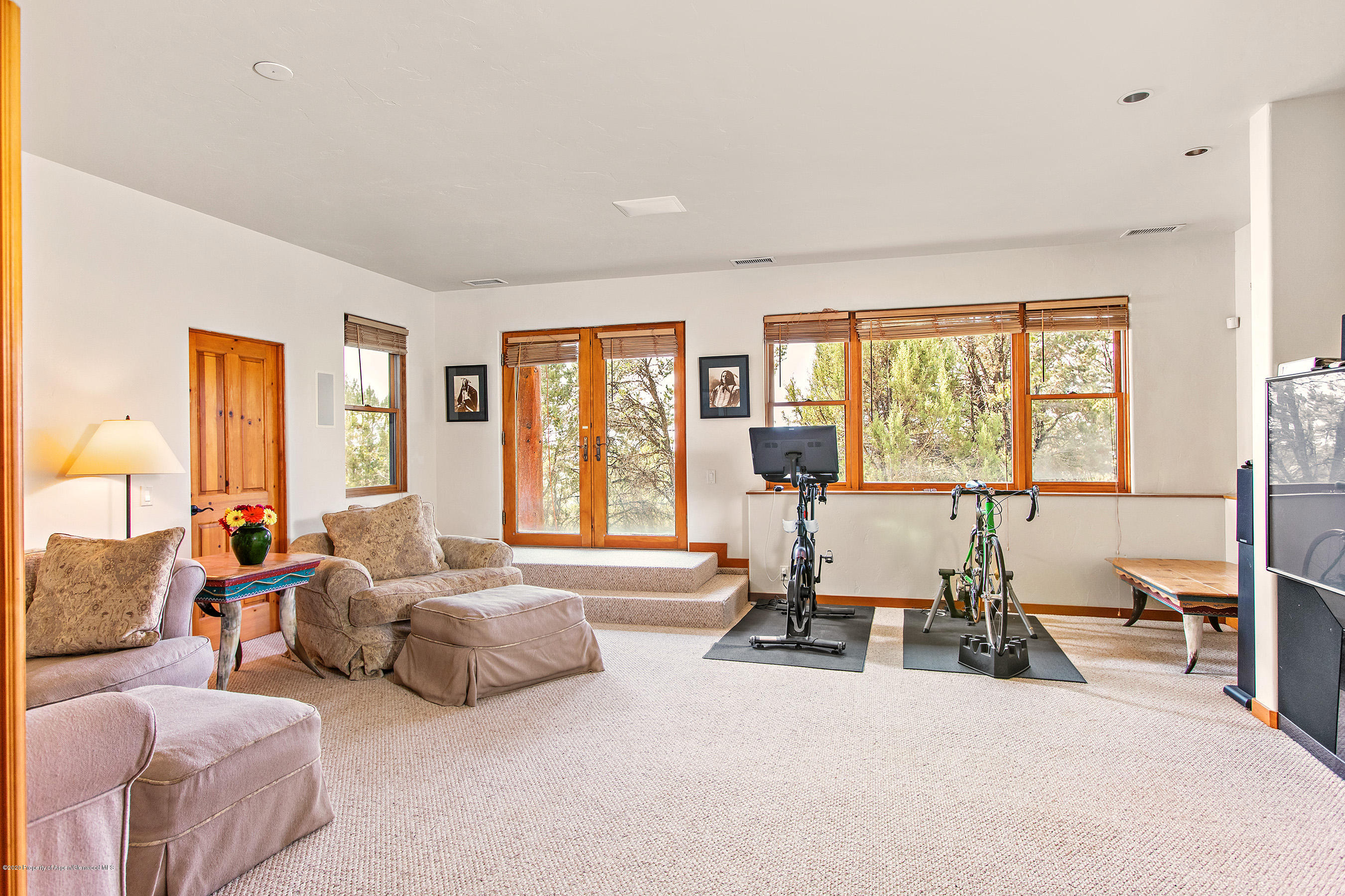 146 Paseo Drive Carbondale CO 81623