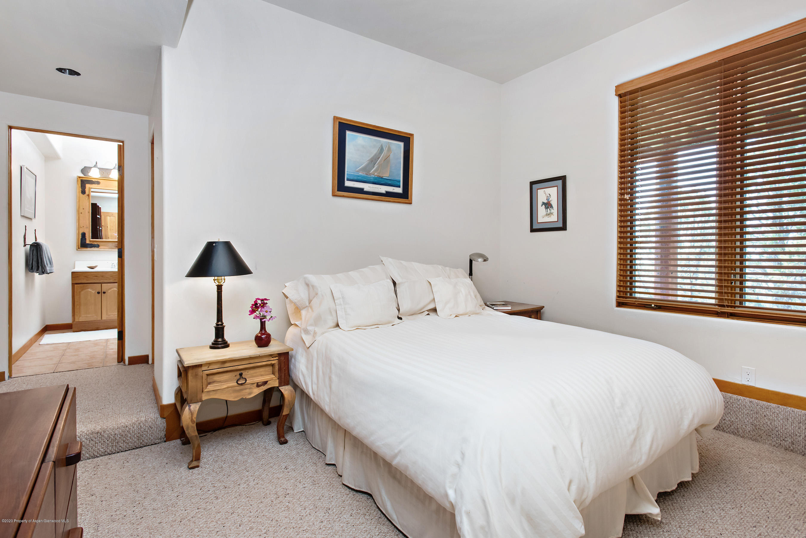 146 Paseo Drive Carbondale CO 81623