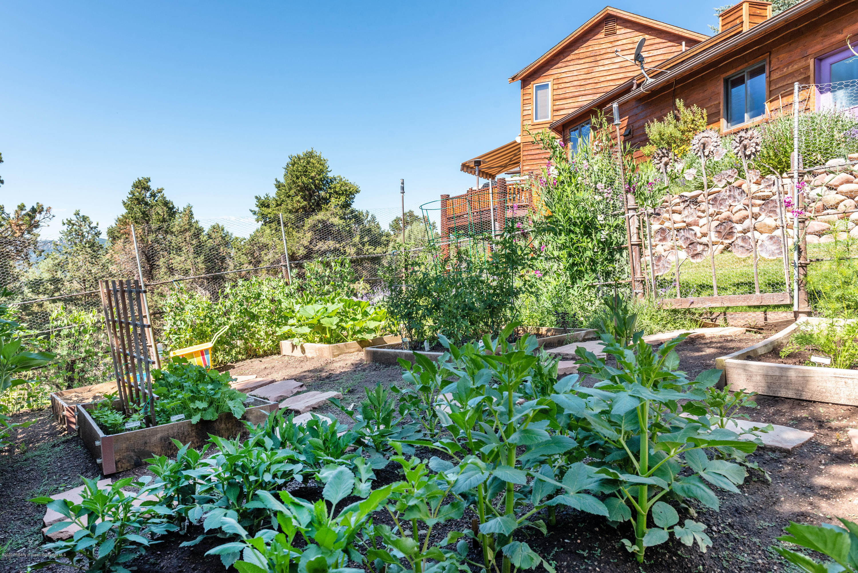 146 Paseo Drive Carbondale CO 81623