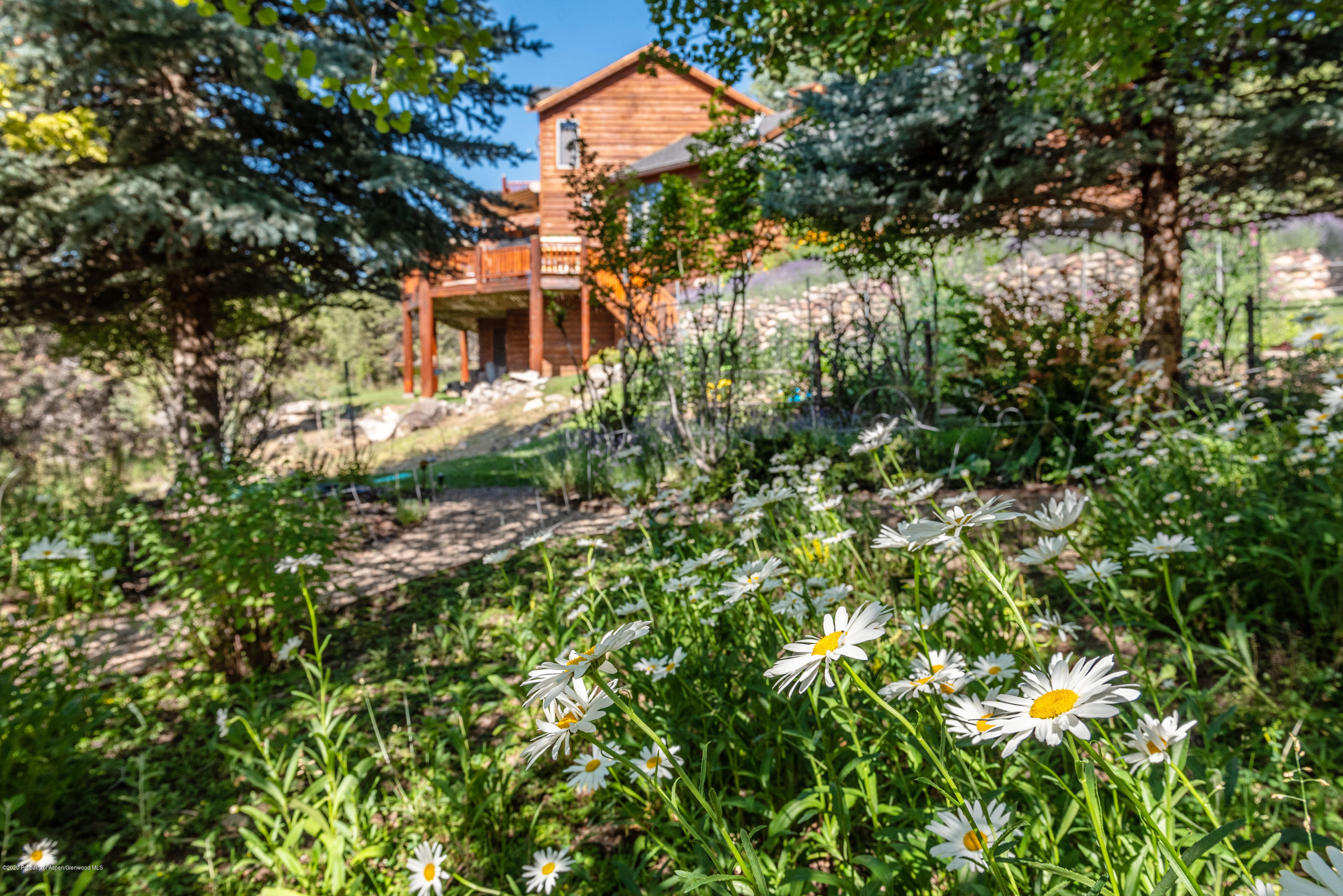 146 Paseo Drive Carbondale CO 81623