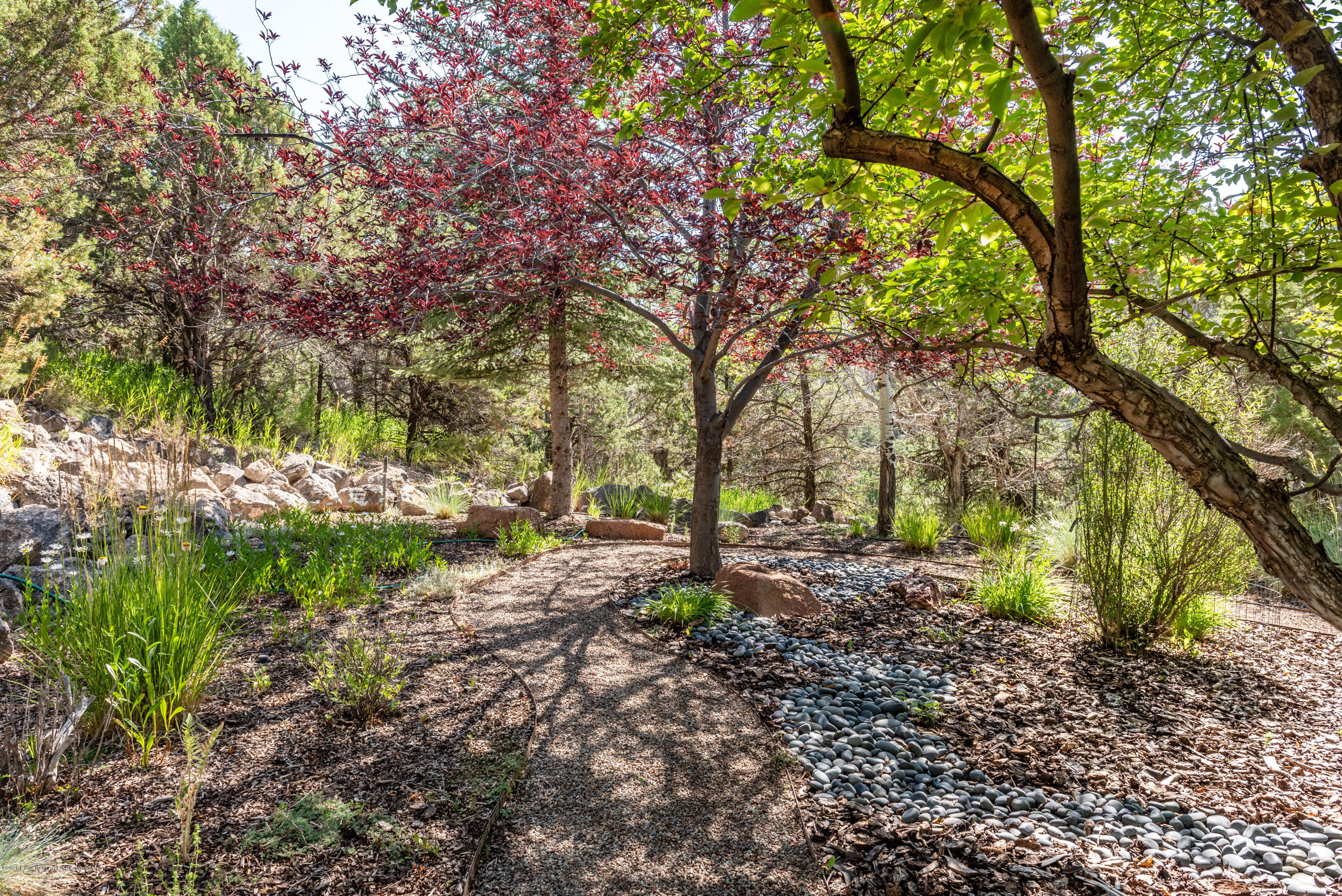 146 Paseo Drive Carbondale CO 81623