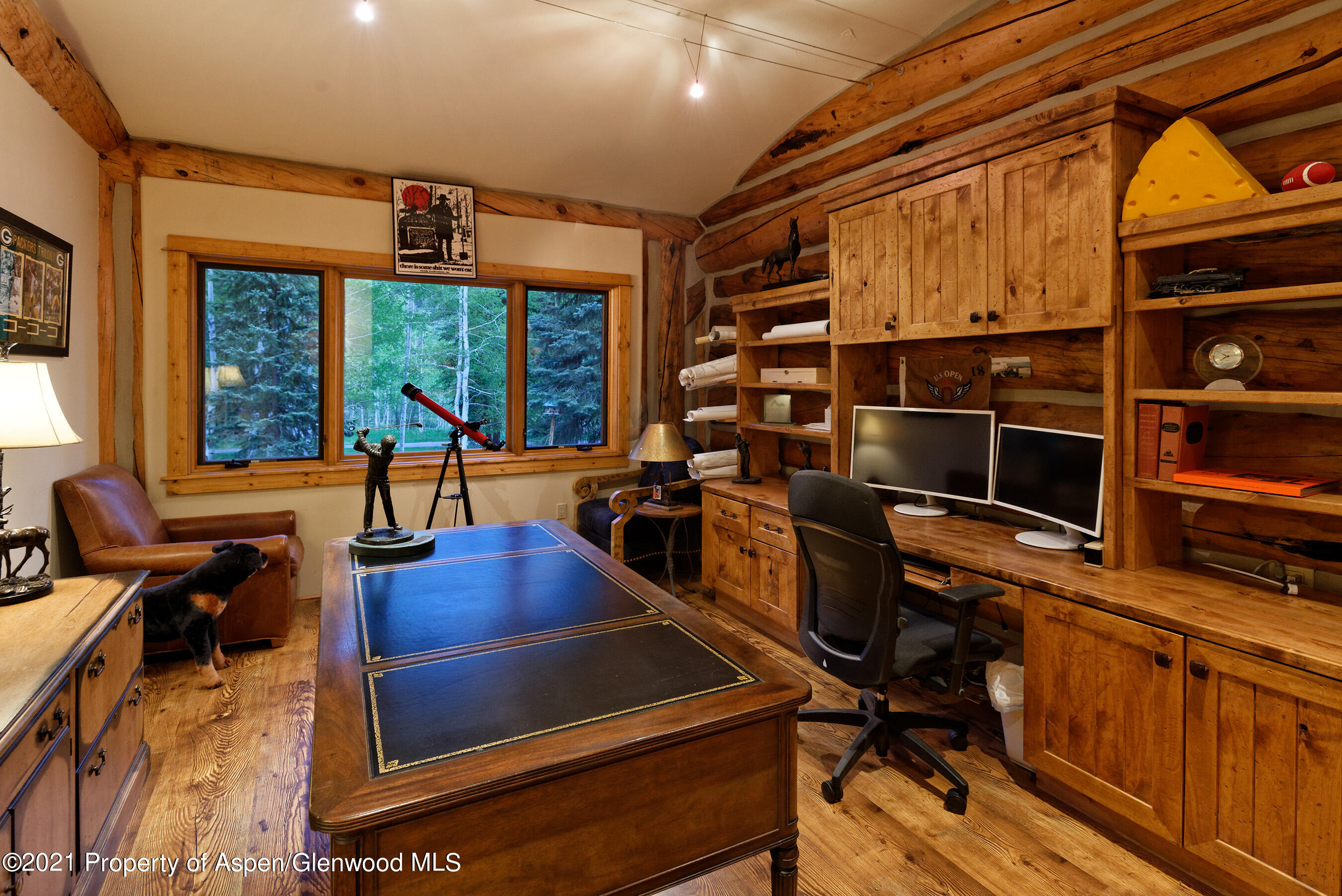 303 Conundrum Creek Road Aspen CO 81611