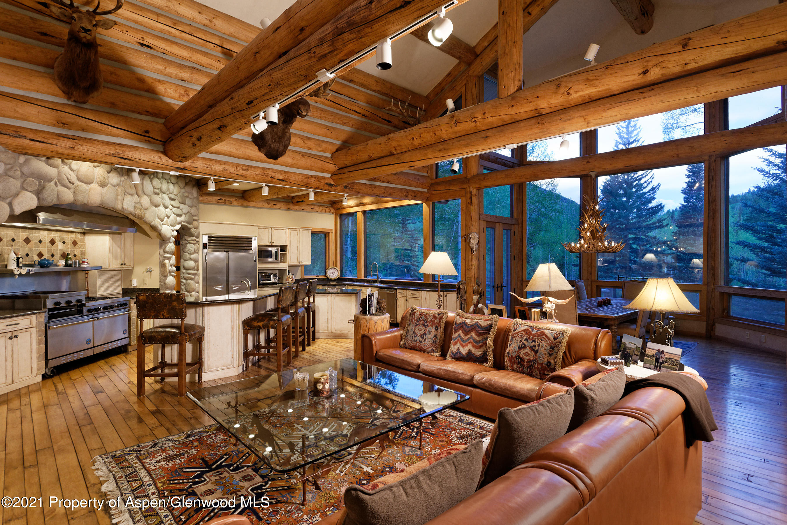 303 Conundrum Creek Road Aspen CO 81611