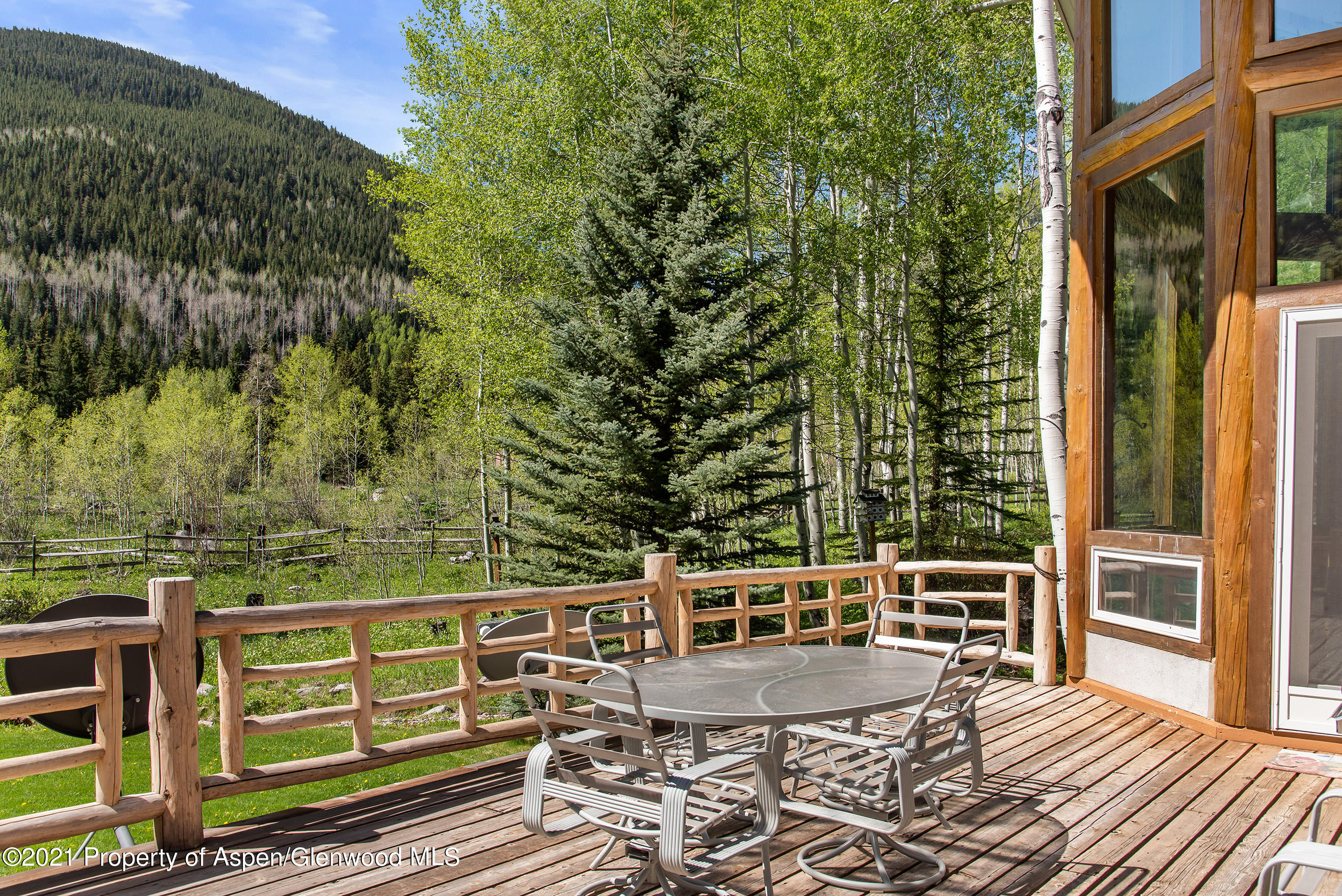 303 Conundrum Creek Road Aspen CO 81611