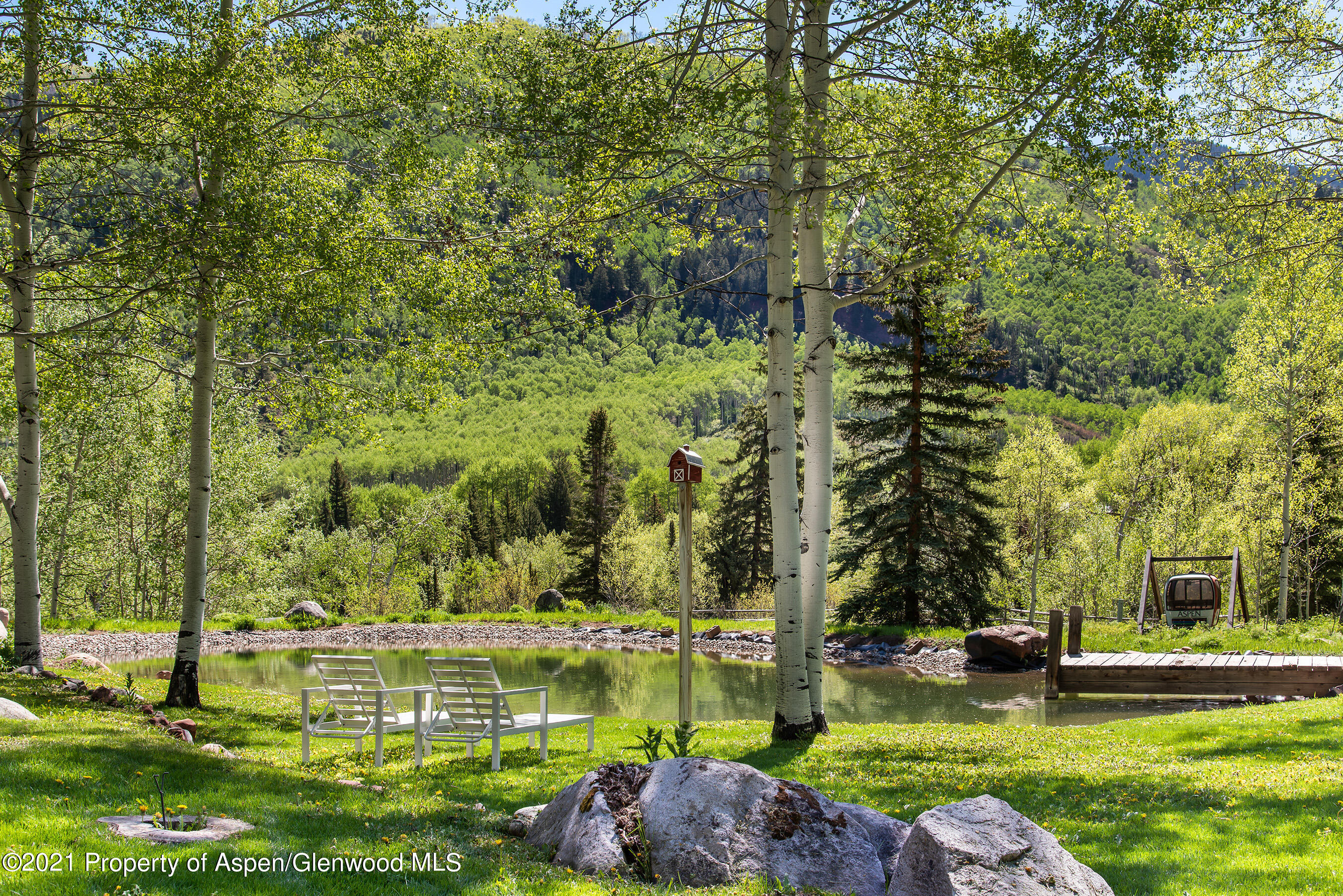 303 Conundrum Creek Road Aspen CO 81611