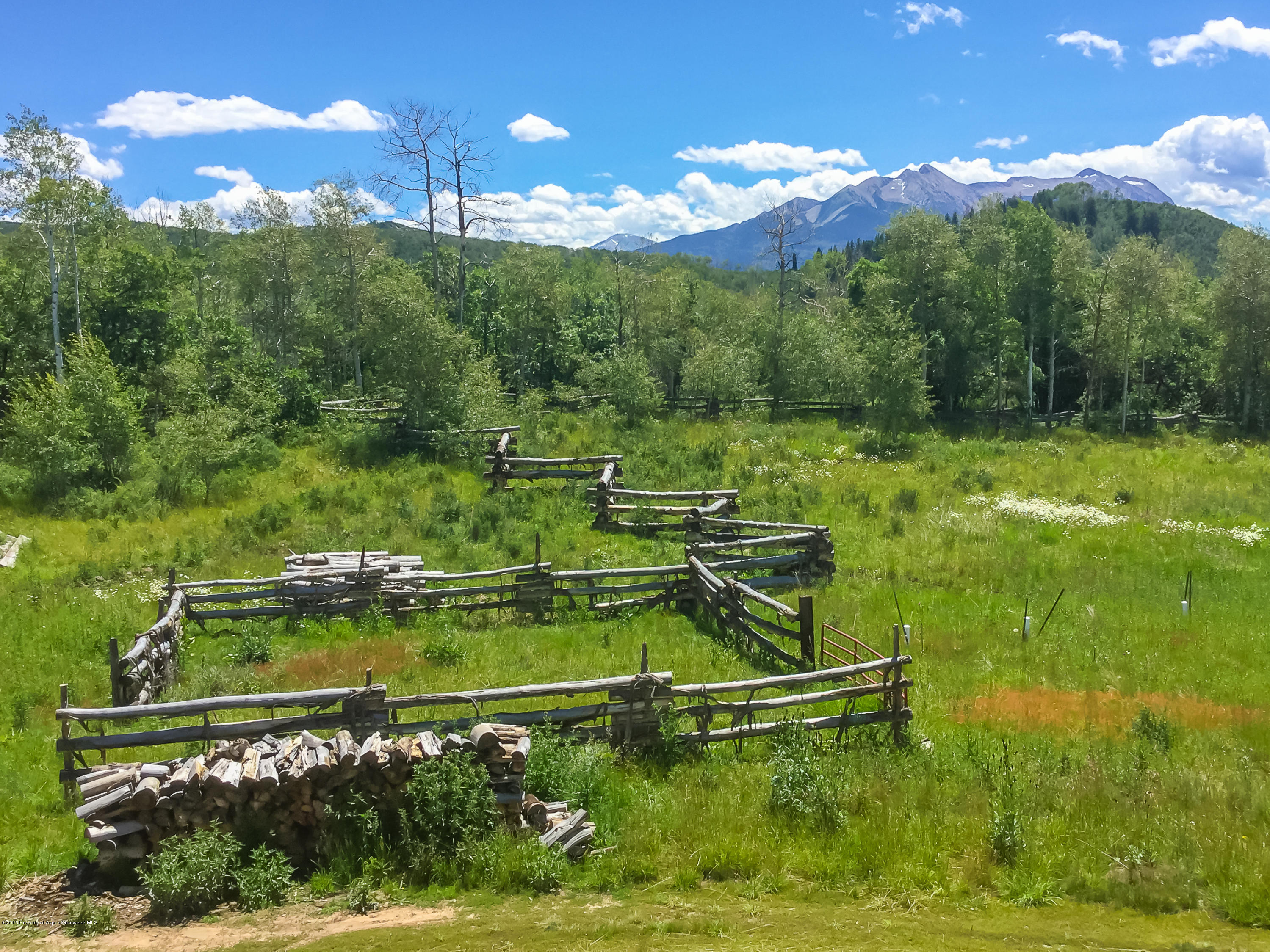 4645 County Road 265 Somerset CO 81434