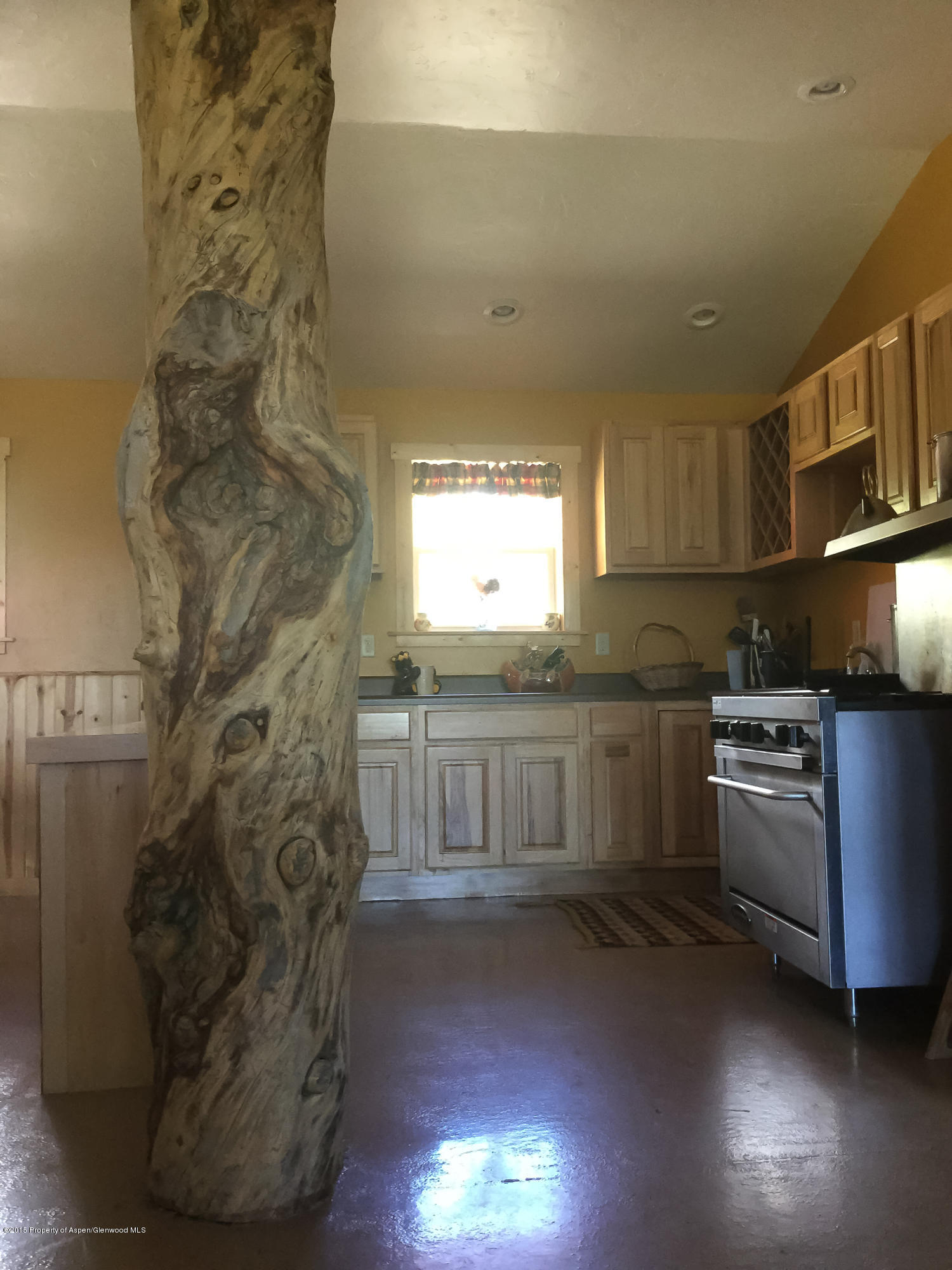 4645 County Road 265 Somerset CO 81434