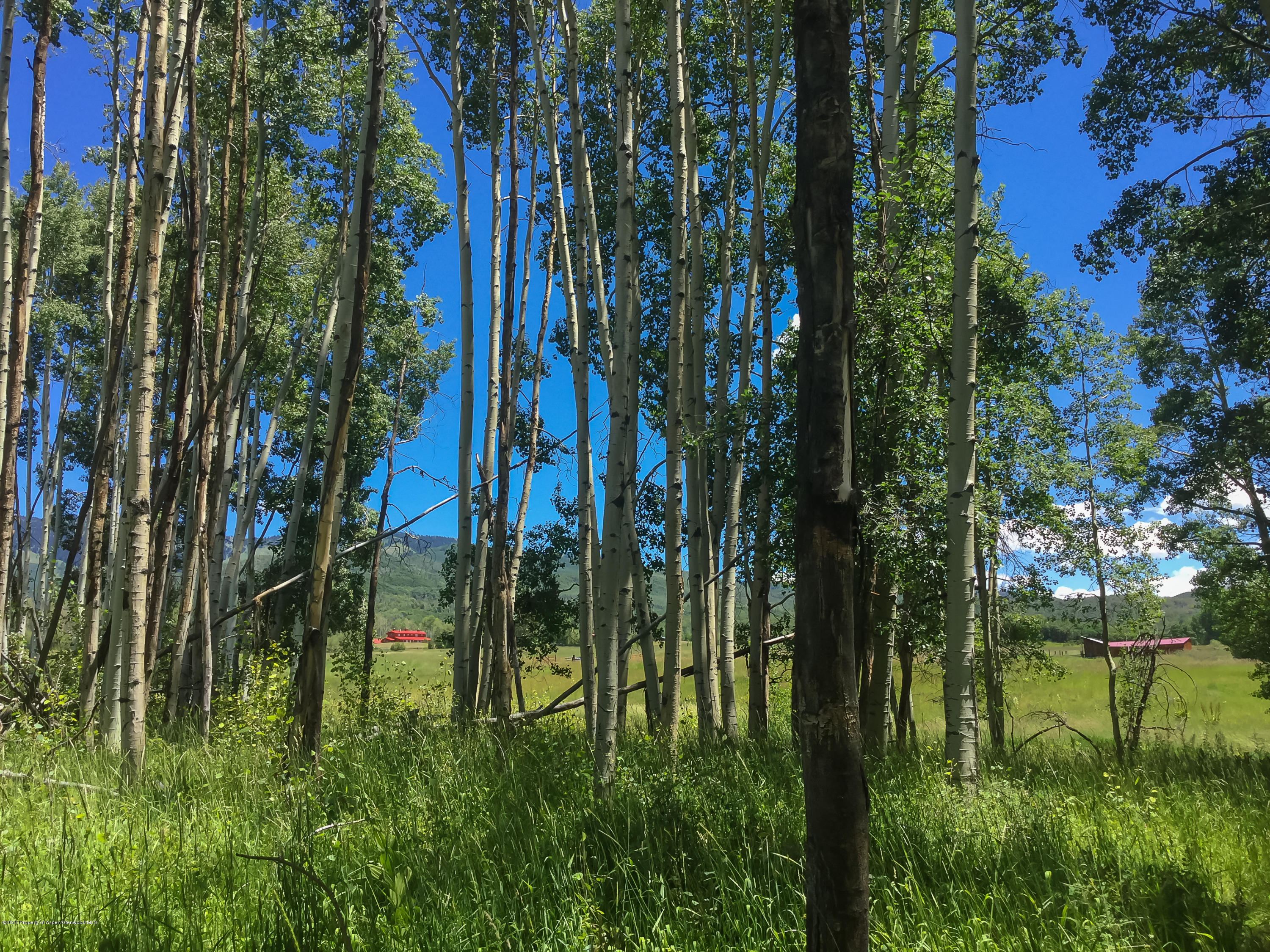4645 County Road 265 Somerset CO 81434