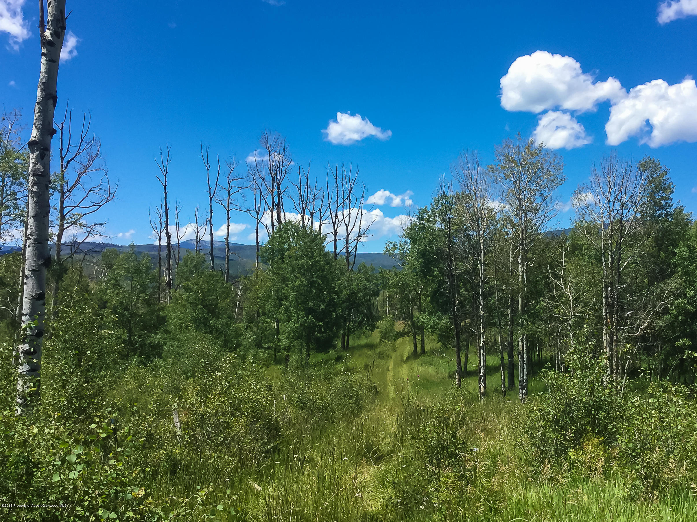 4645 County Road 265 Somerset CO 81434