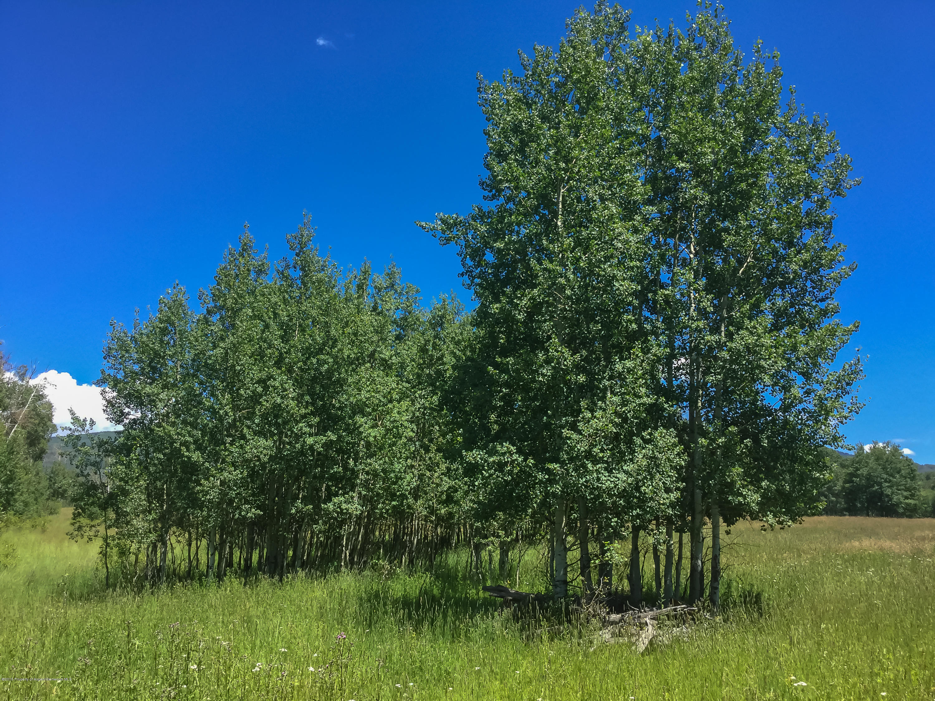4645 County Road 265 Somerset CO 81434