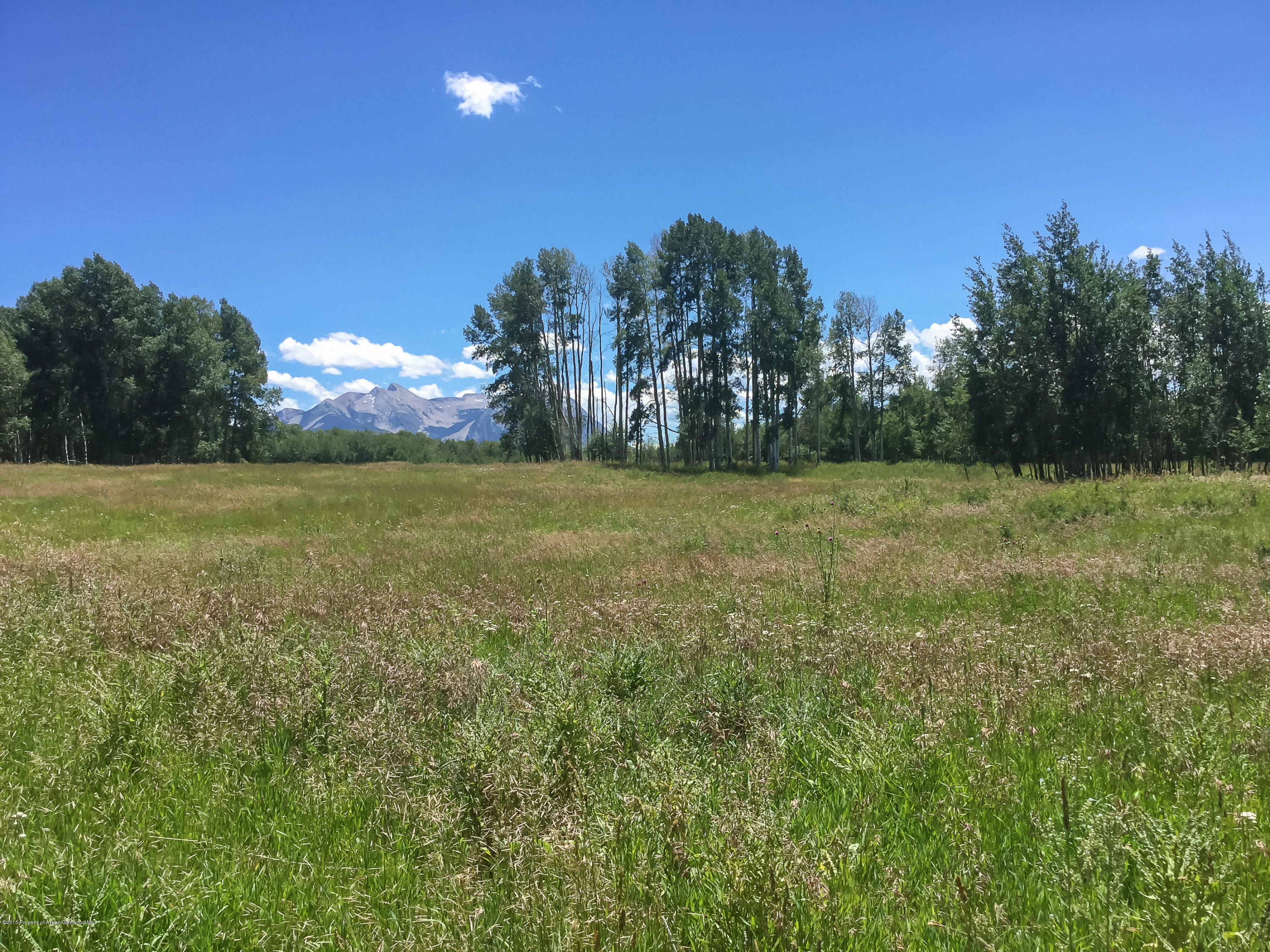 4645 County Road 265 Somerset CO 81434