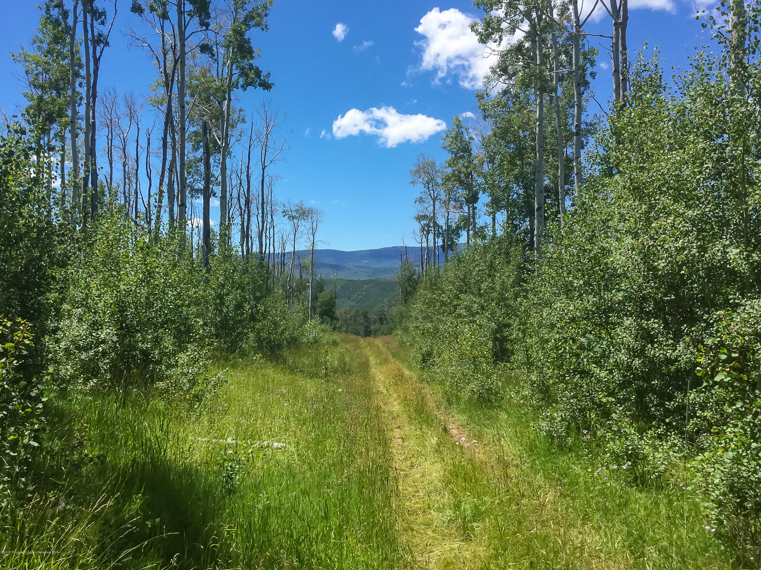 4645 County Road 265 Somerset CO 81434