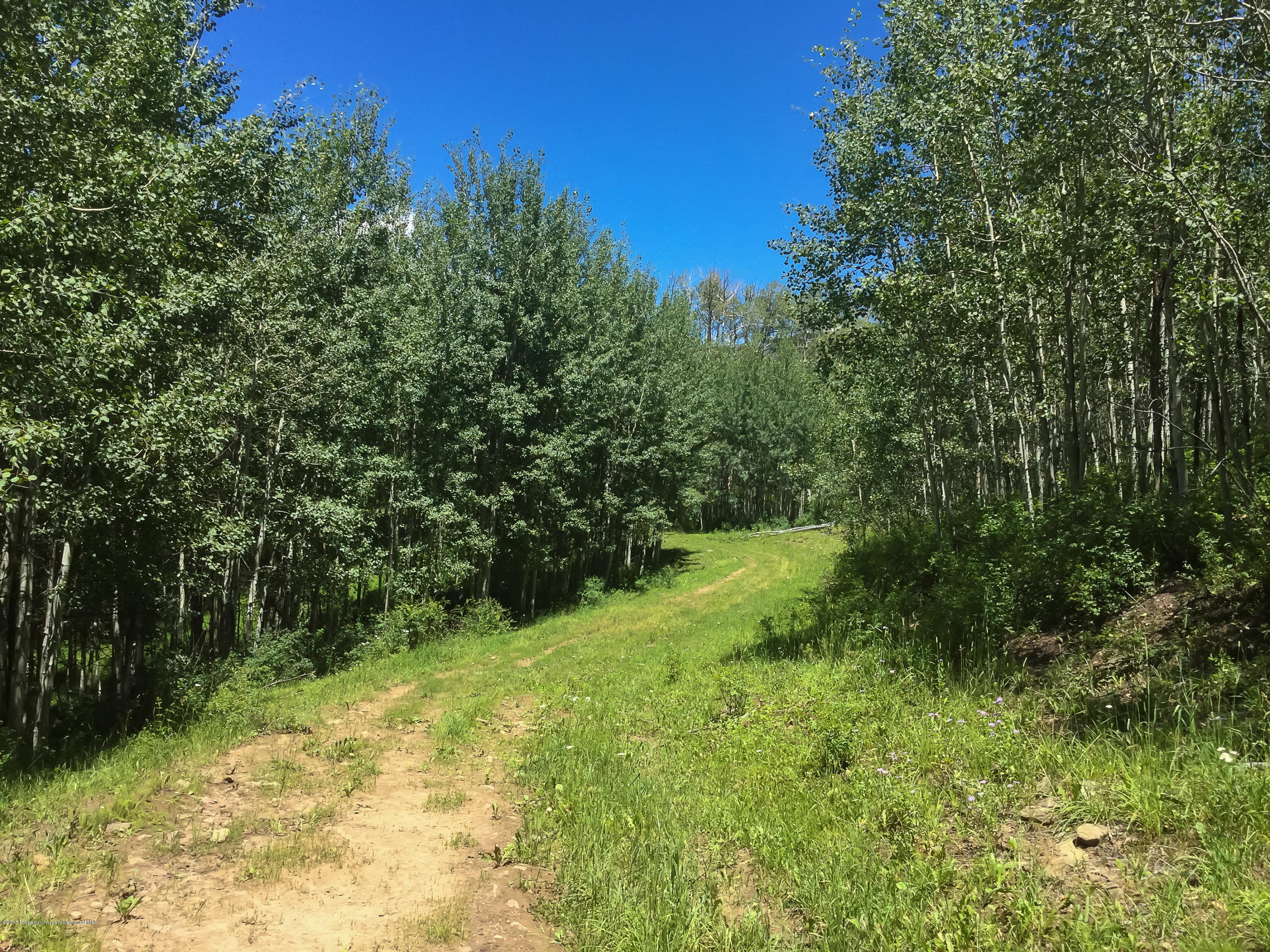 4645 County Road 265 Somerset CO 81434