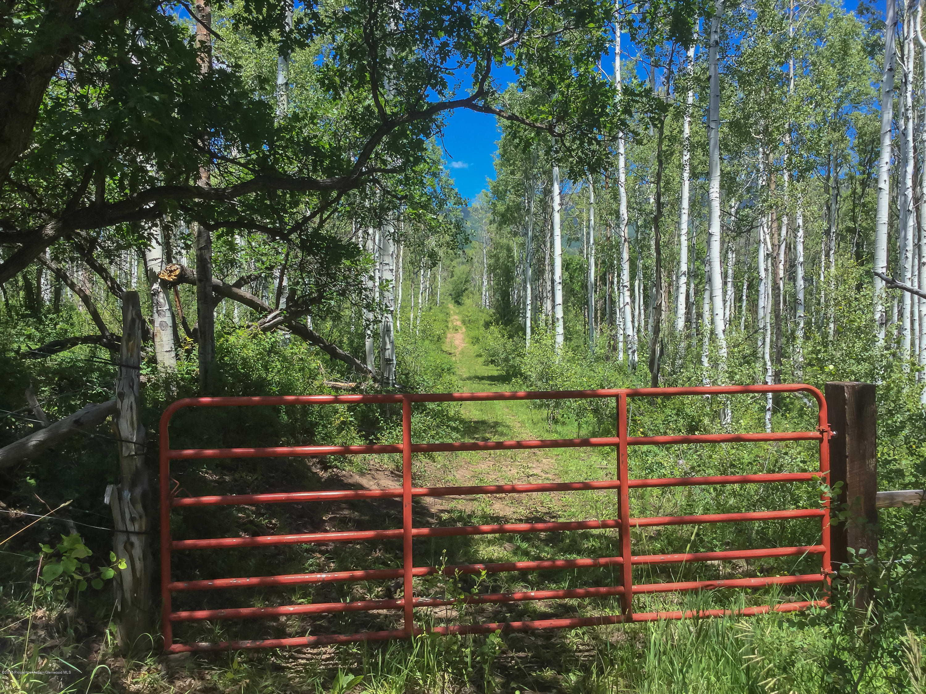 4645 County Road 265 Somerset CO 81434
