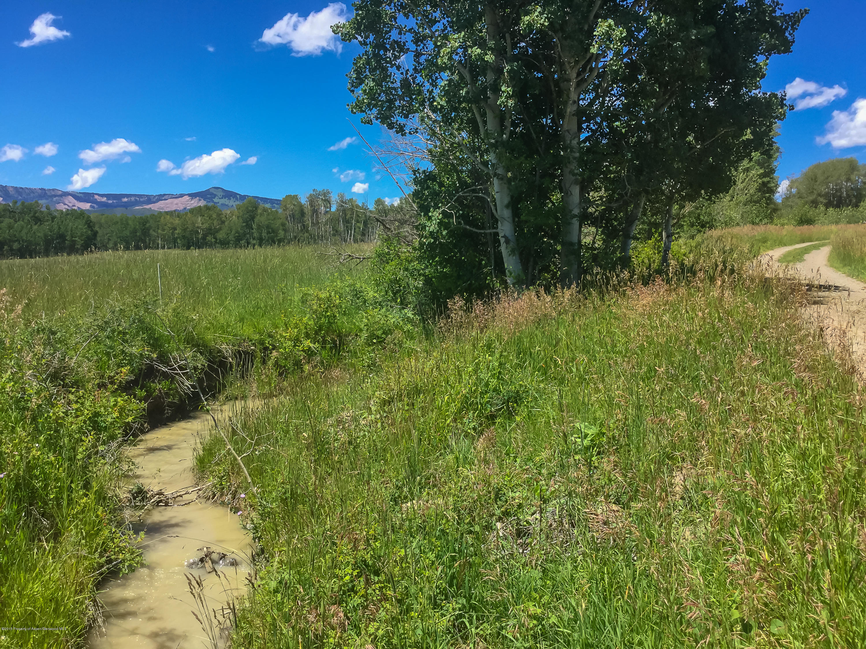 4645 County Road 265 Somerset CO 81434