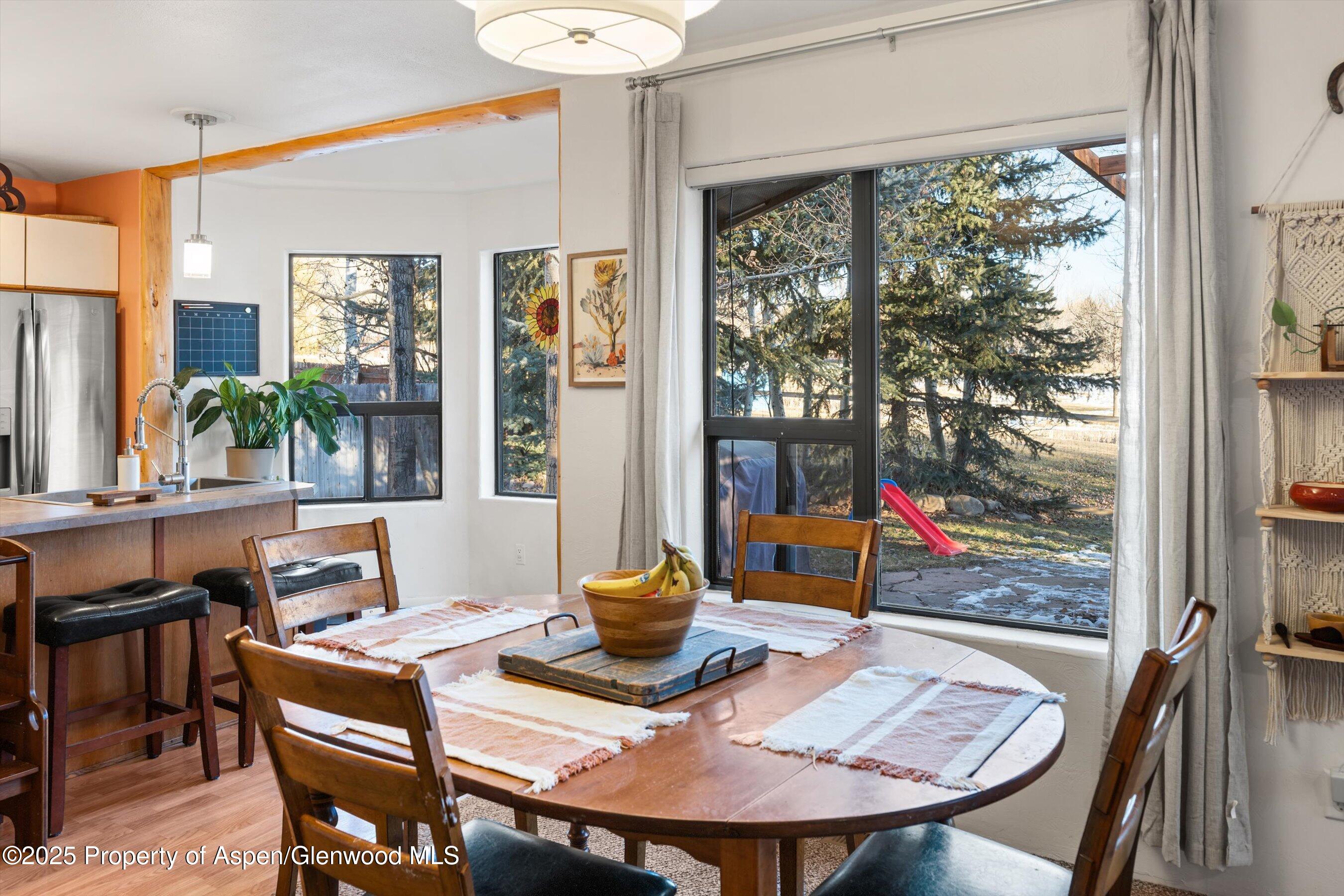 516 Honeysuckle Drive New Castle CO 81647