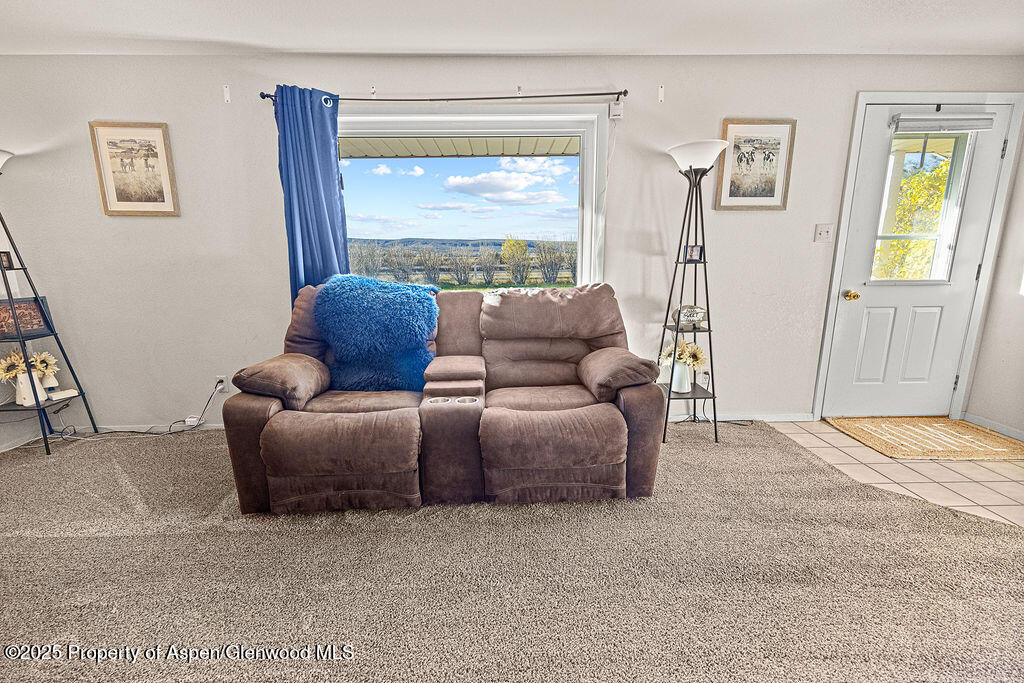 115 Big Gulch Avenue Craig CO 81625