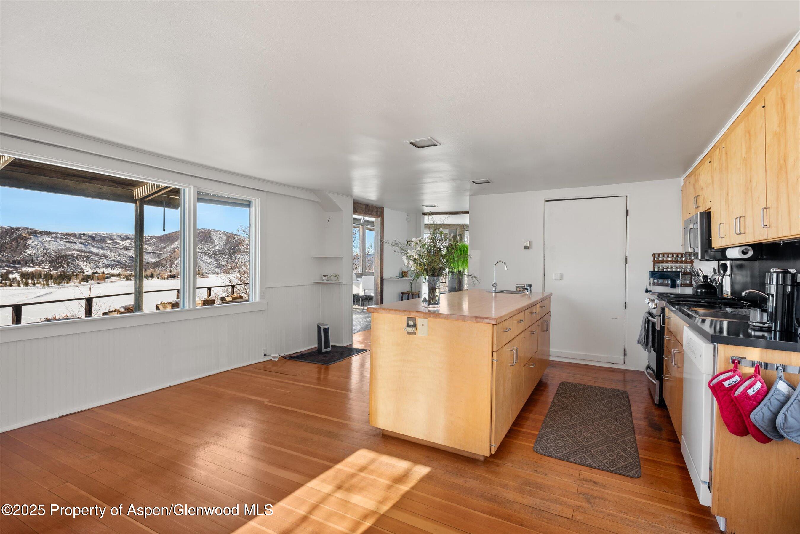 260 Star Mesa Road Aspen CO 81611