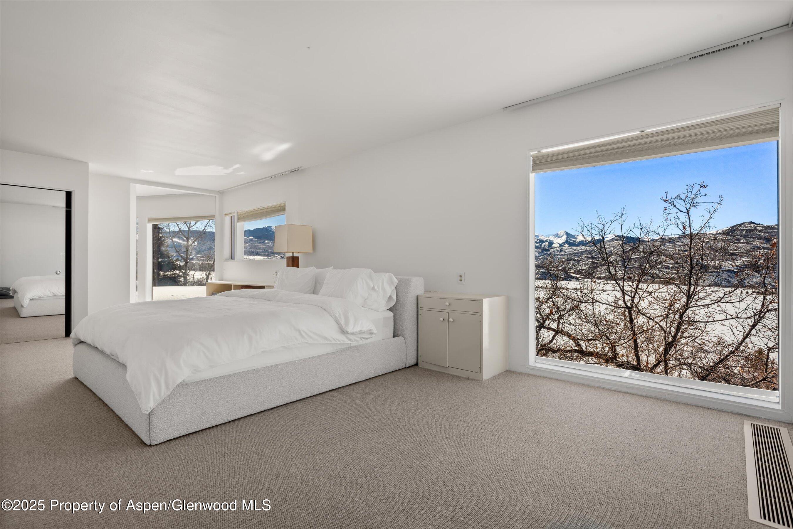 260 Star Mesa Road Aspen CO 81611