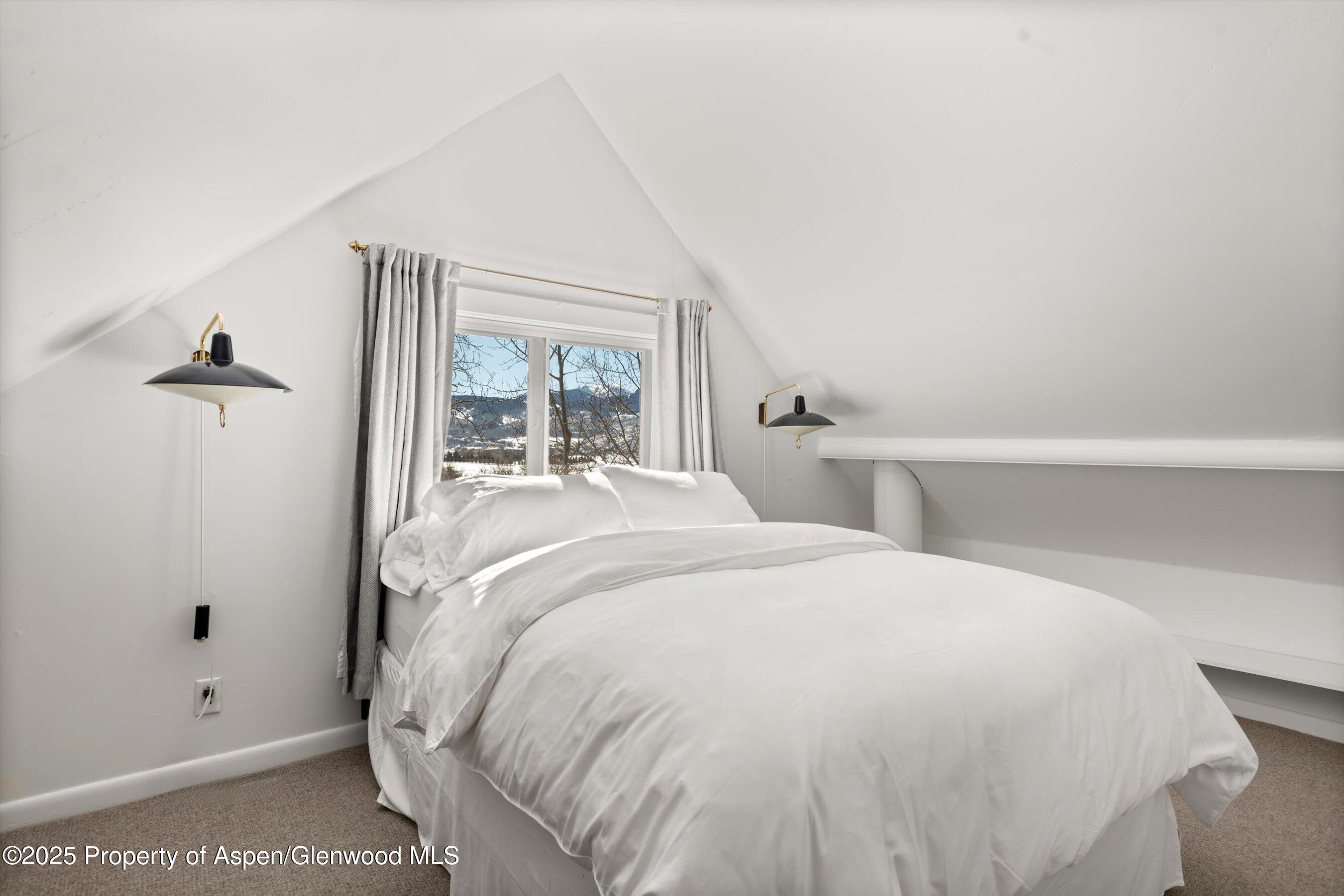 260 Star Mesa Road Aspen CO 81611