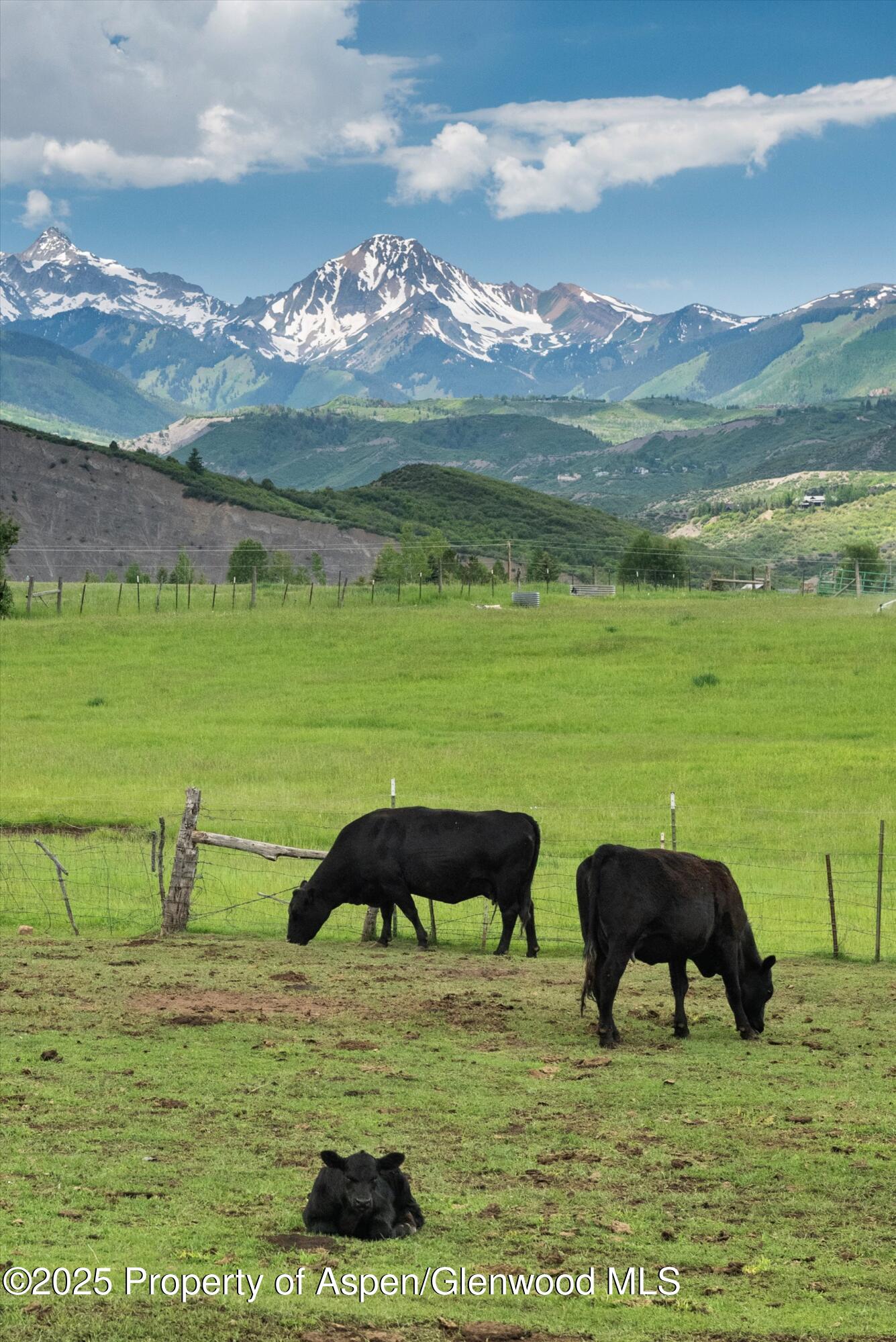 260 Star Mesa Road Aspen CO 81611