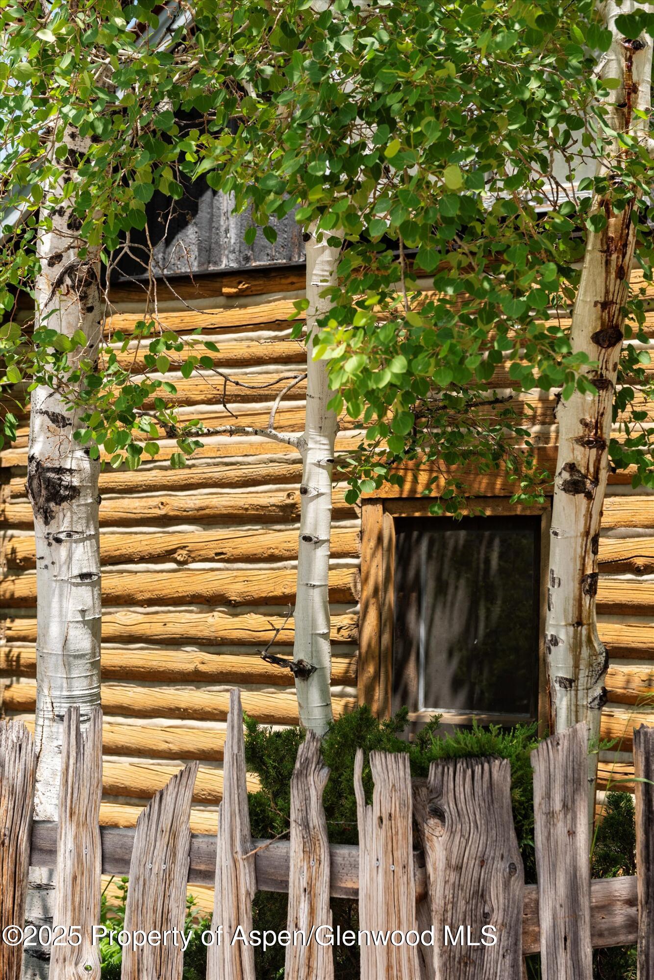 260 Star Mesa Road Aspen CO 81611