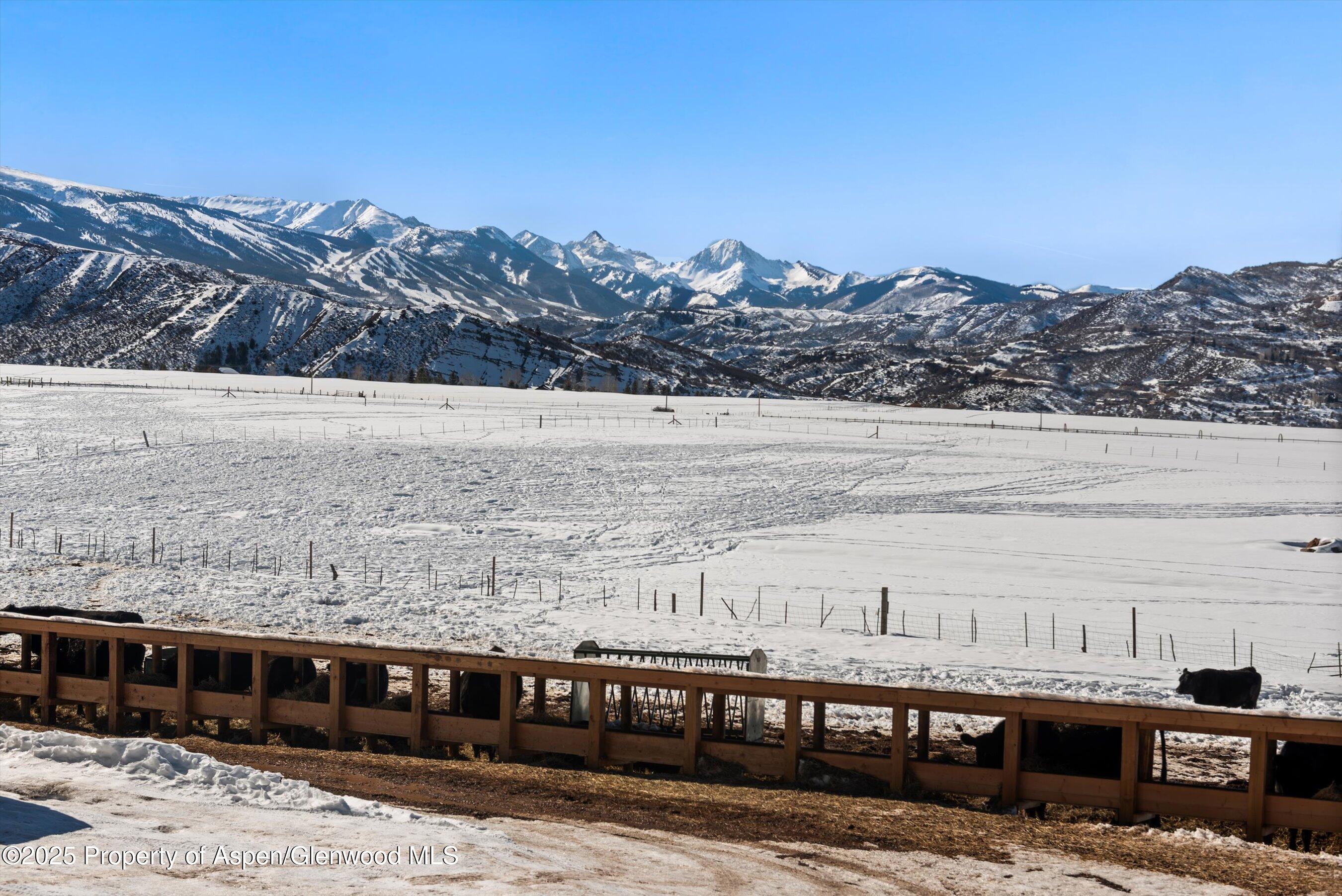 260 Star Mesa Road Aspen CO 81611