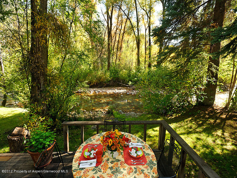 1110 Black Birch Drive Aspen CO 81611