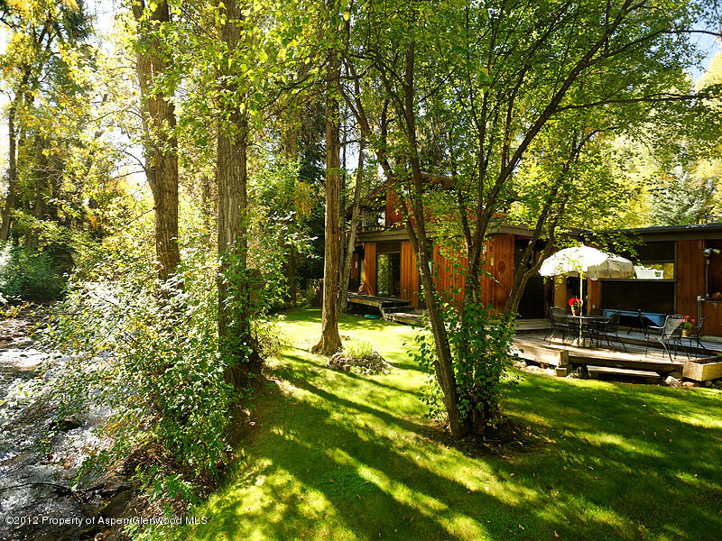 1110 Black Birch Drive Aspen CO 81611