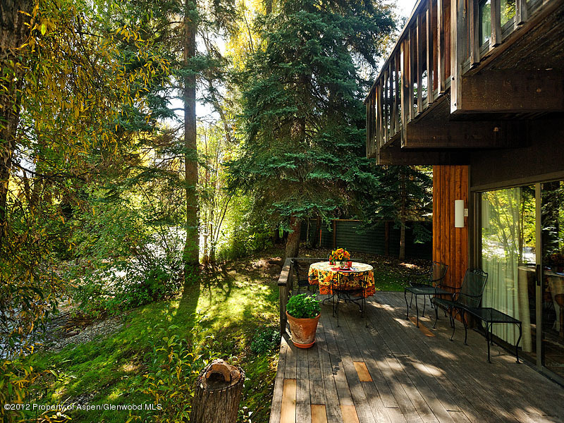 1110 Black Birch Drive Aspen CO 81611