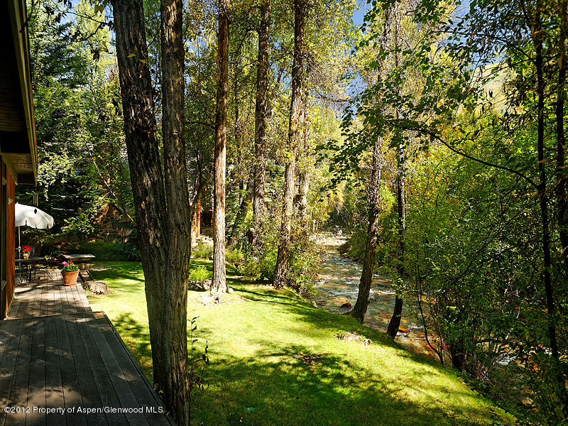 1110 Black Birch Drive Aspen CO 81611