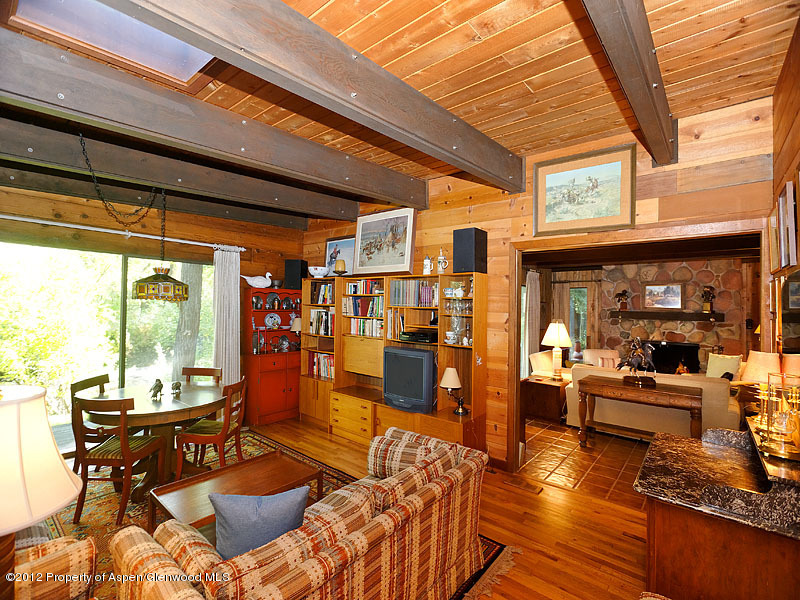 1110 Black Birch Drive Aspen CO 81611