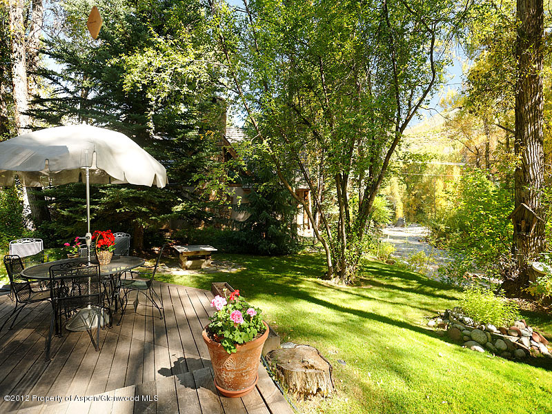 1110 Black Birch Drive Aspen CO 81611