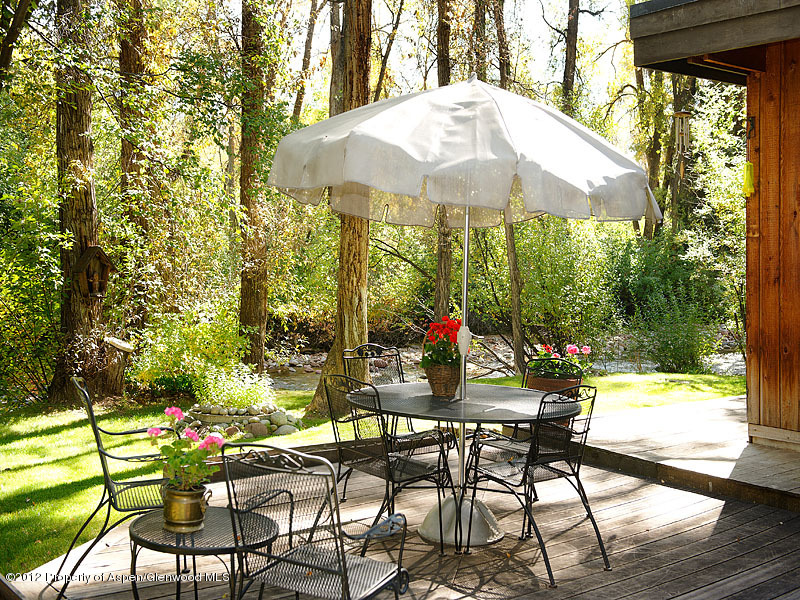 1110 Black Birch Drive Aspen CO 81611