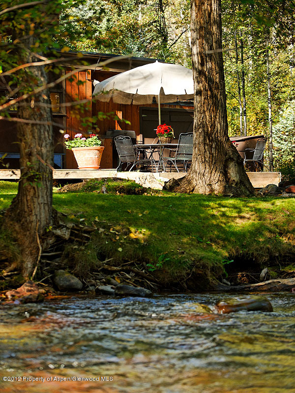 1110 Black Birch Drive Aspen CO 81611