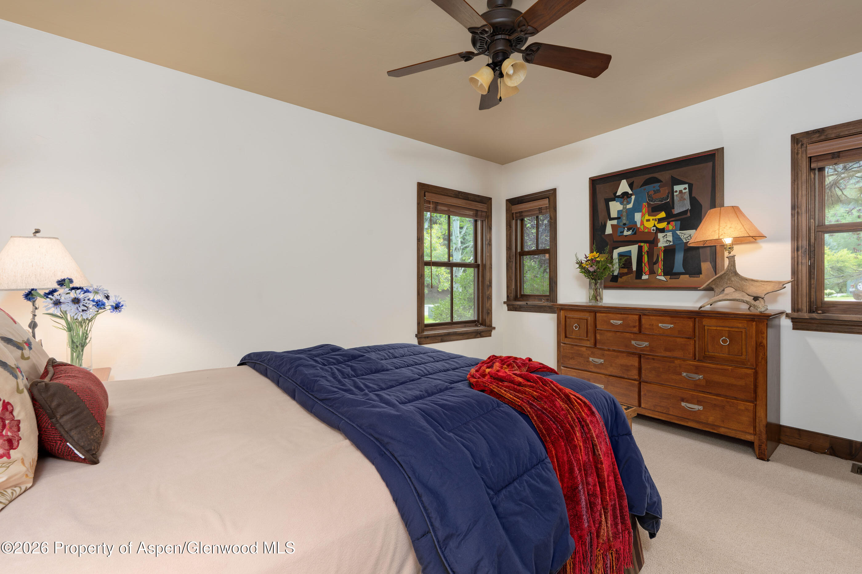 900 Bald Eagle Way Carbondale CO 81623