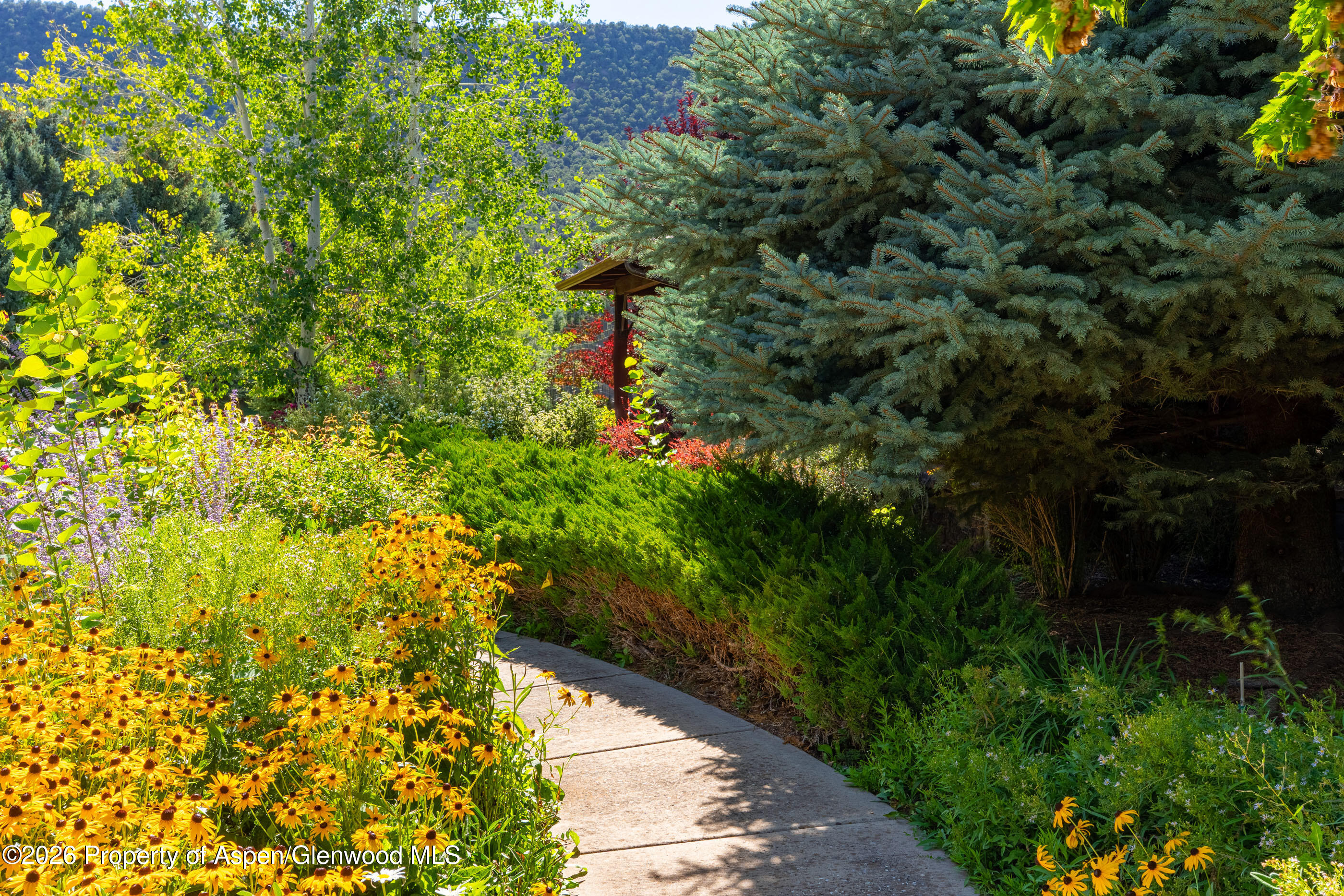 900 Bald Eagle Way Carbondale CO 81623