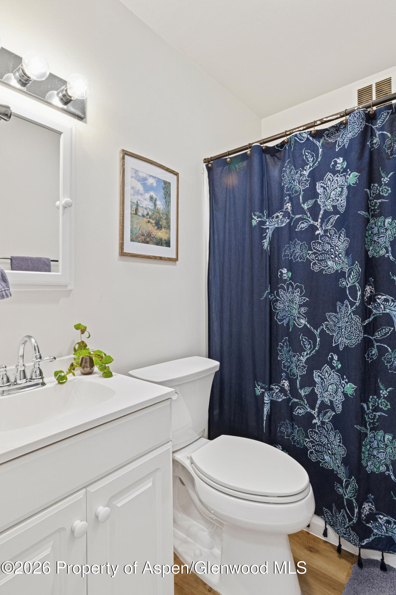 519 Maple Street Glenwood Springs CO 81601