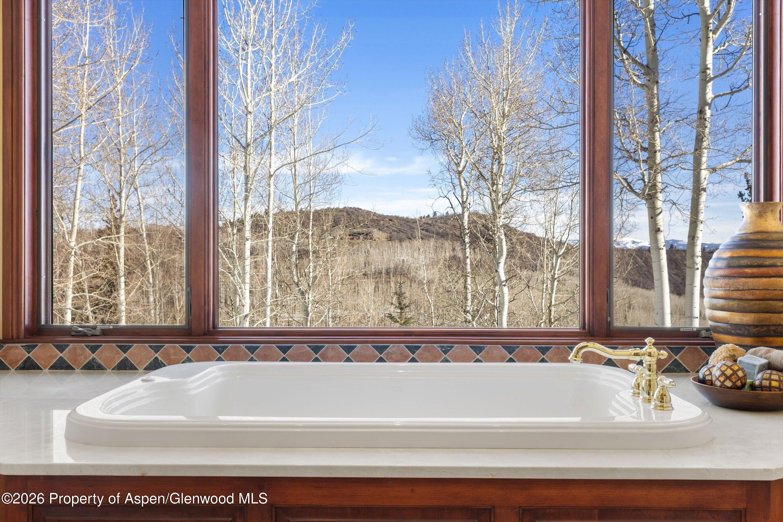 142 Aspen Way Snowmass Village CO 81615