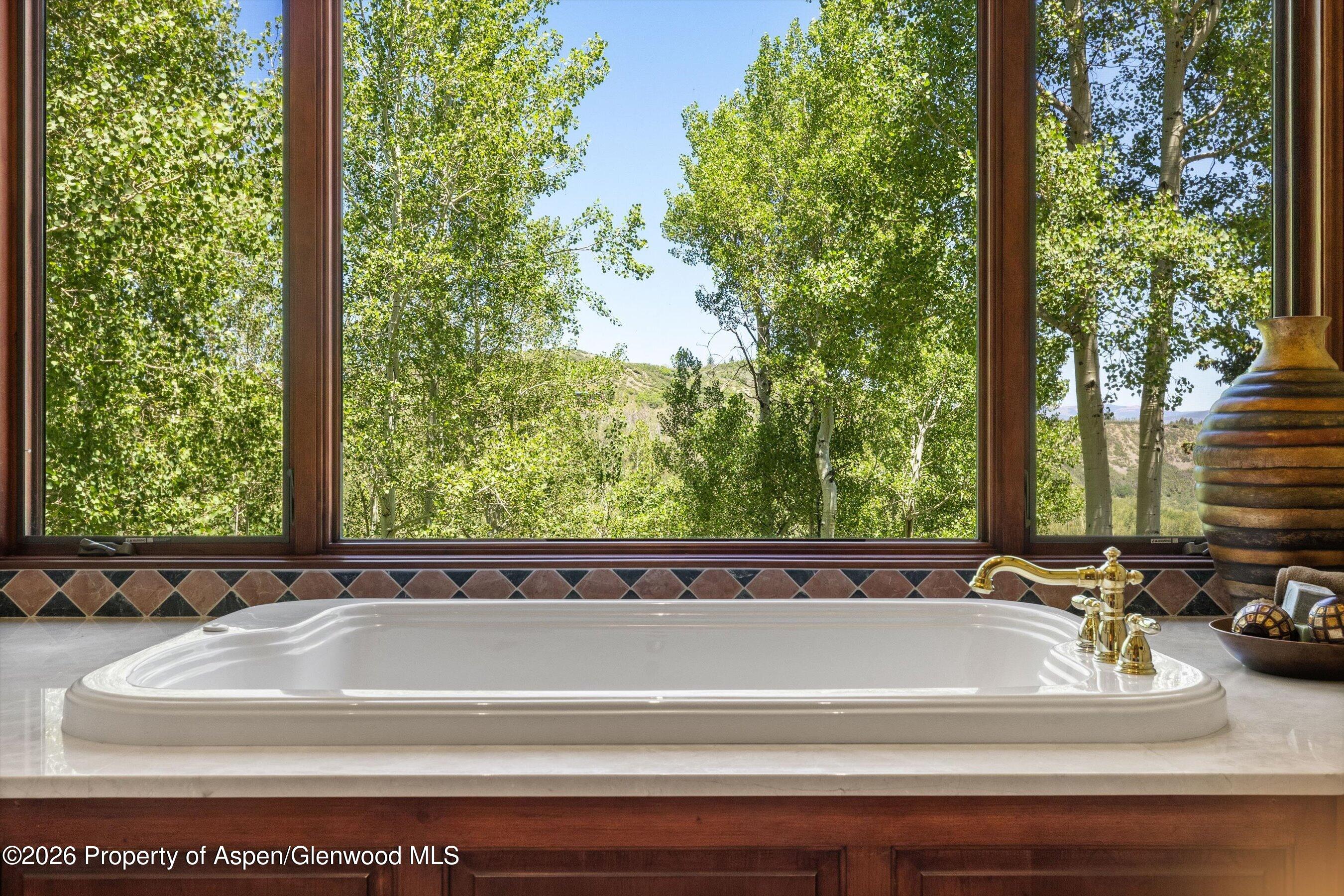142 Aspen Way Snowmass Village CO 81615