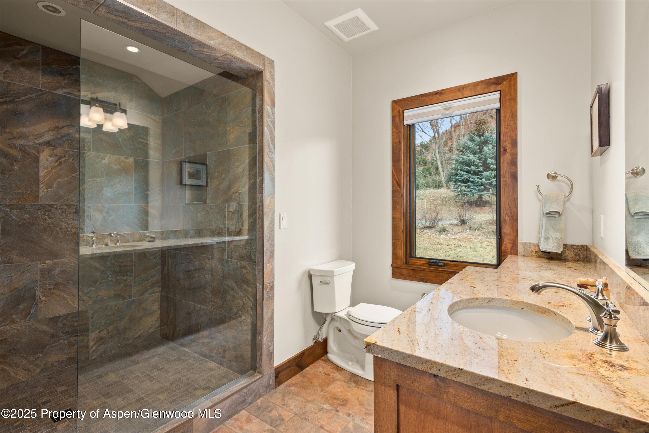 255 Snowcap Circle Carbondale CO 81623