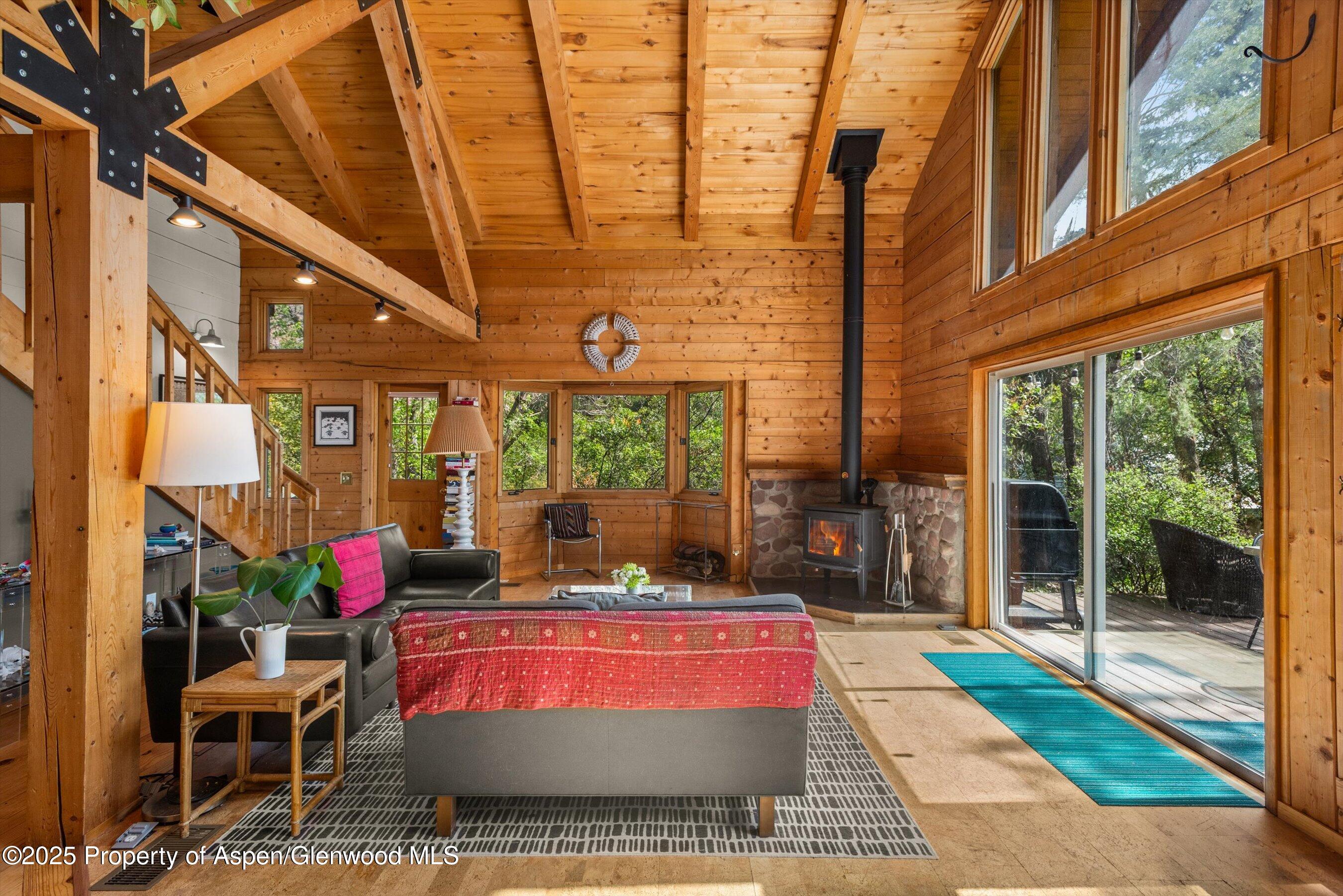 166 Ute Trail Carbondale CO 81623