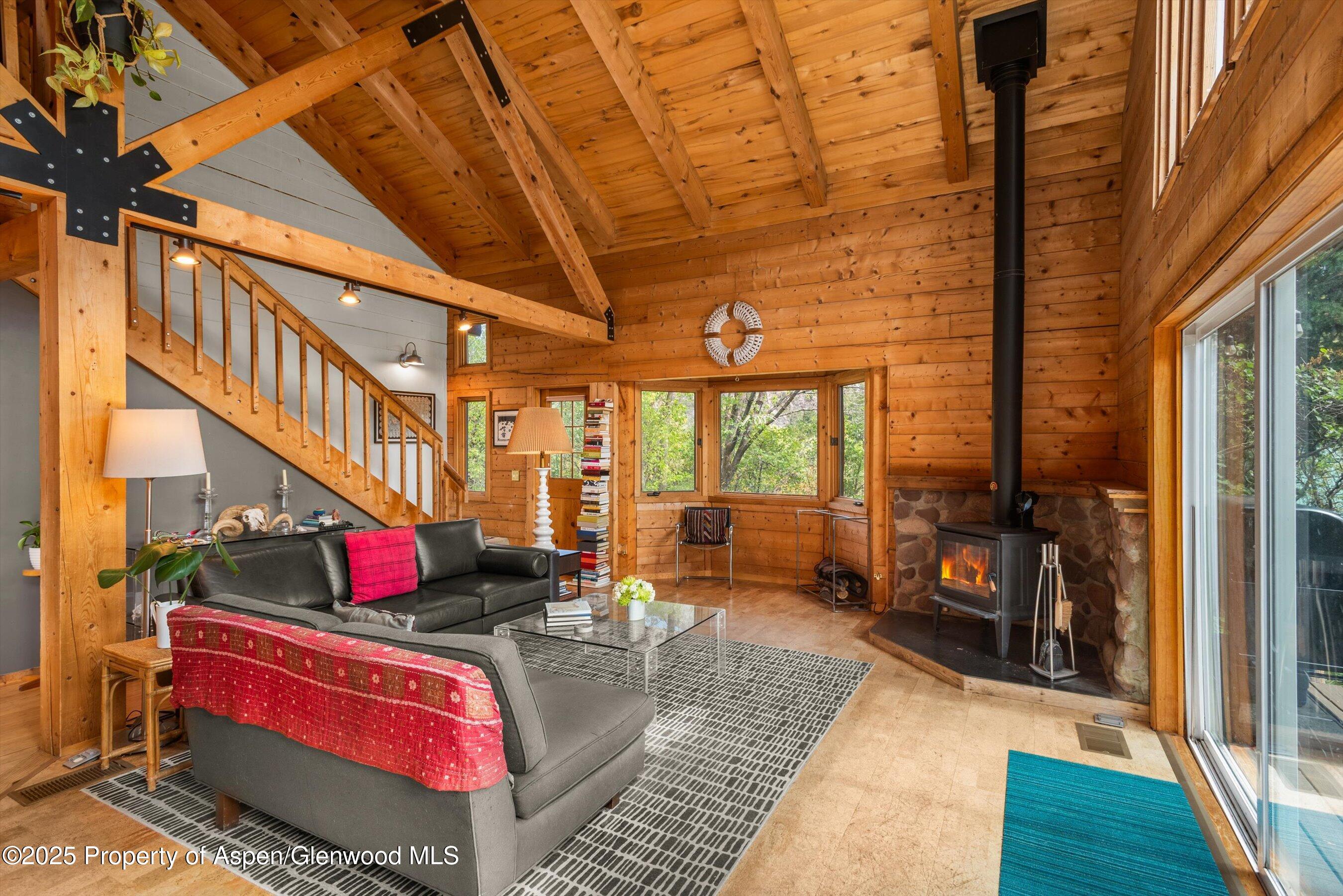 166 Ute Trail Carbondale CO 81623