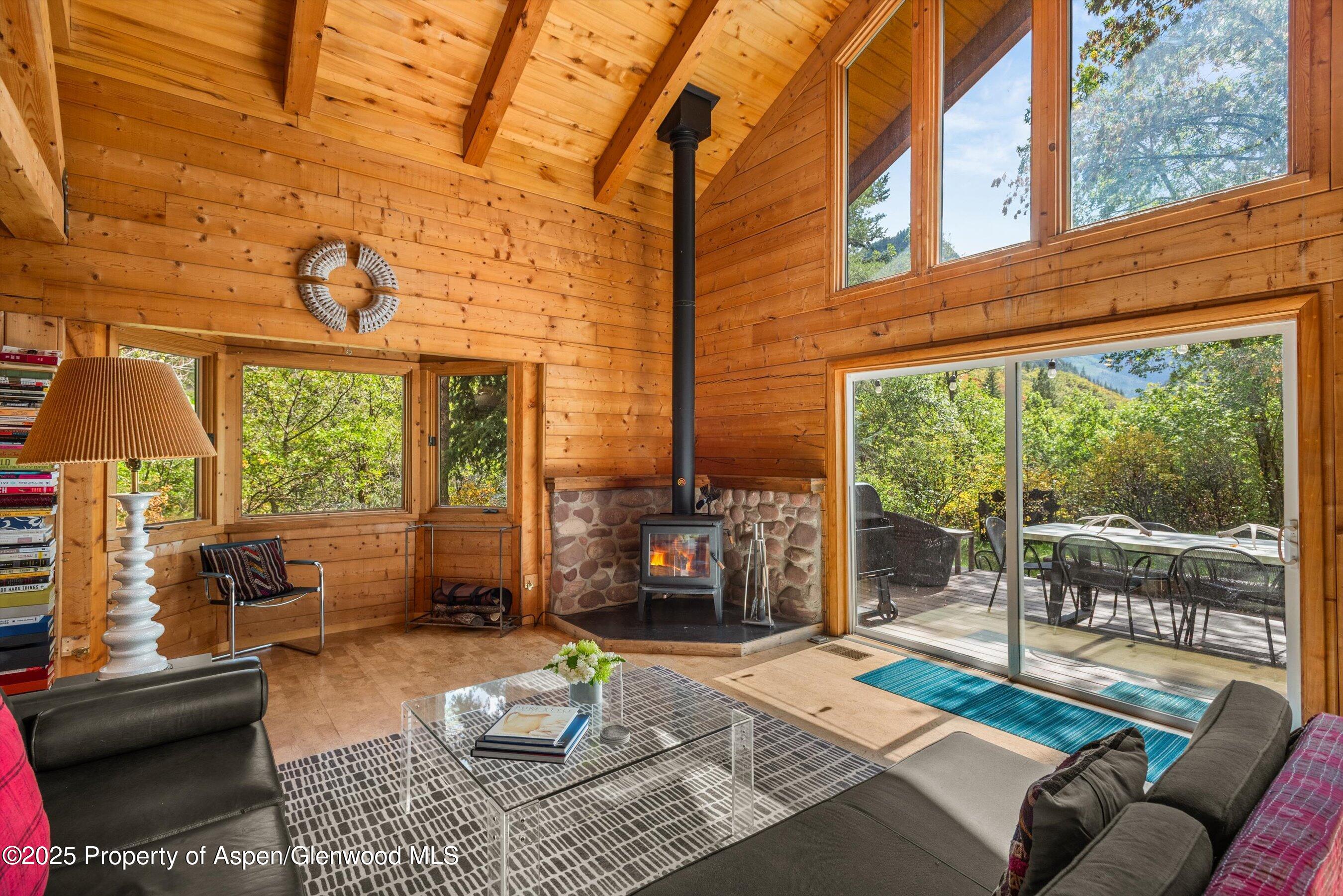 166 Ute Trail Carbondale CO 81623