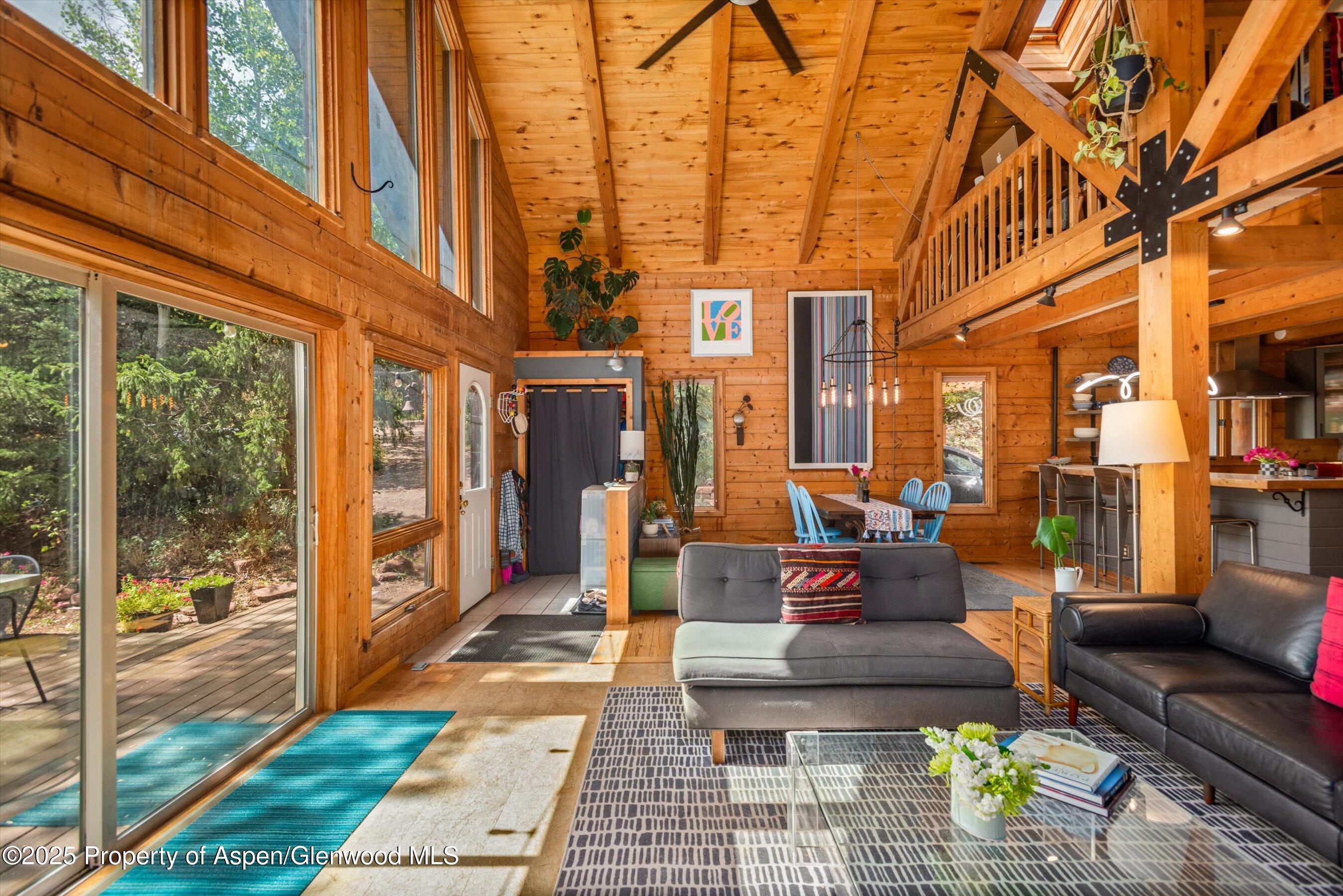 166 Ute Trail Carbondale CO 81623