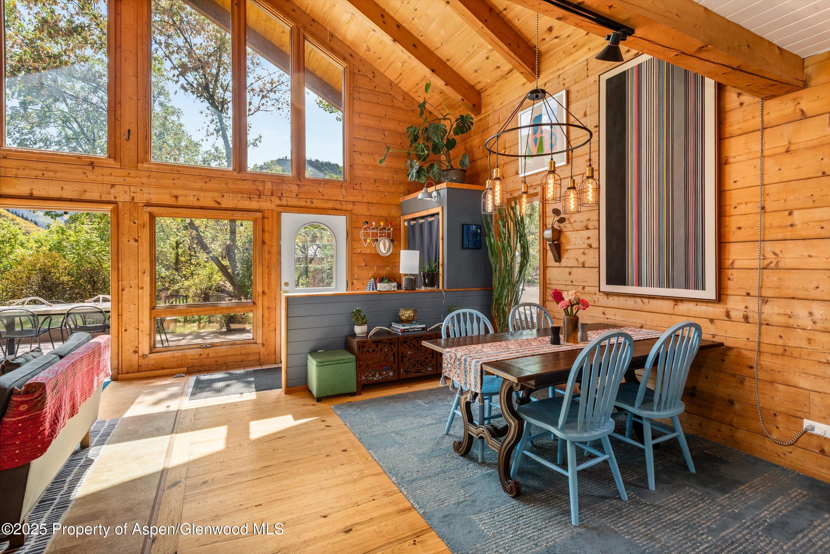 166 Ute Trail Carbondale CO 81623