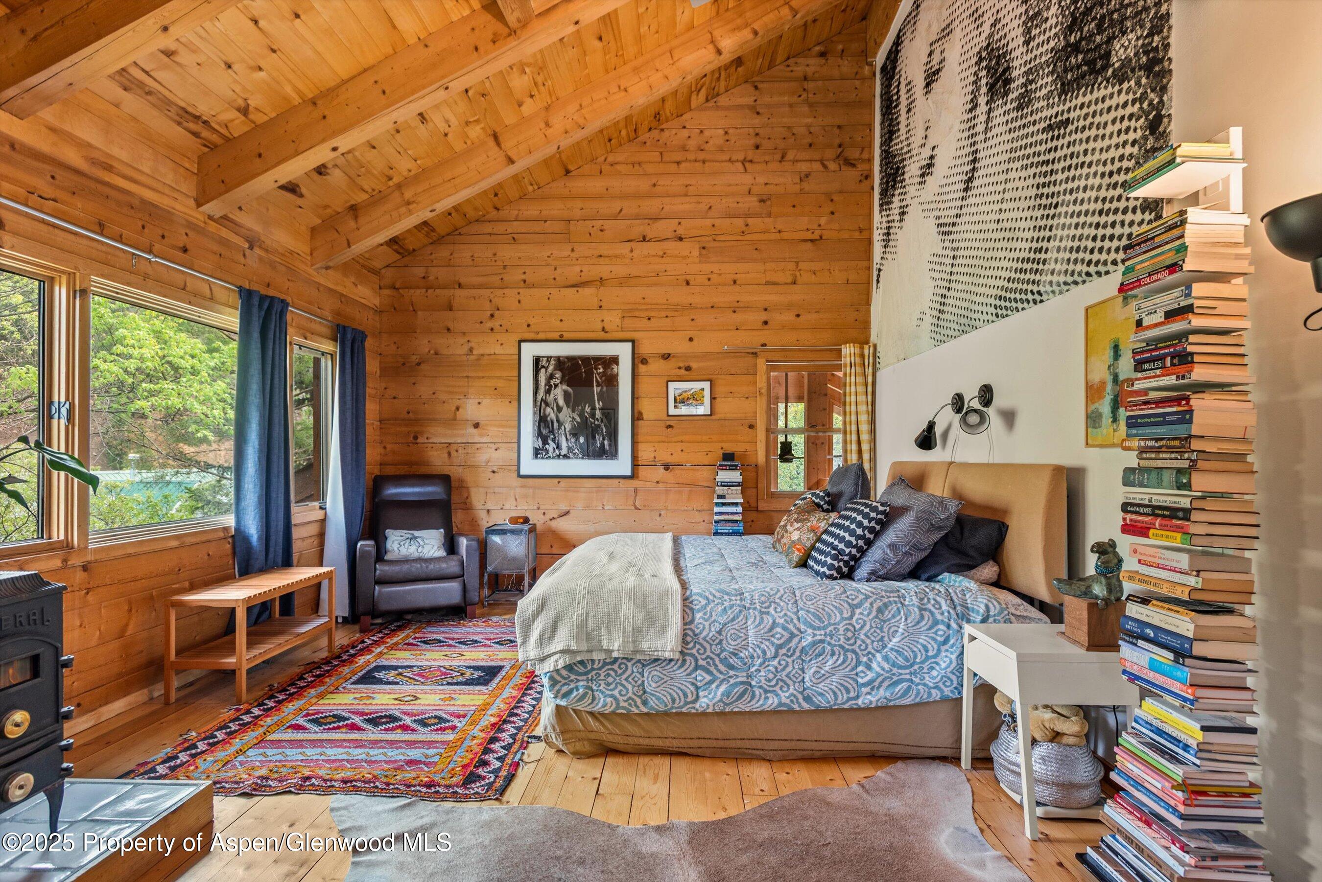 166 Ute Trail Carbondale CO 81623