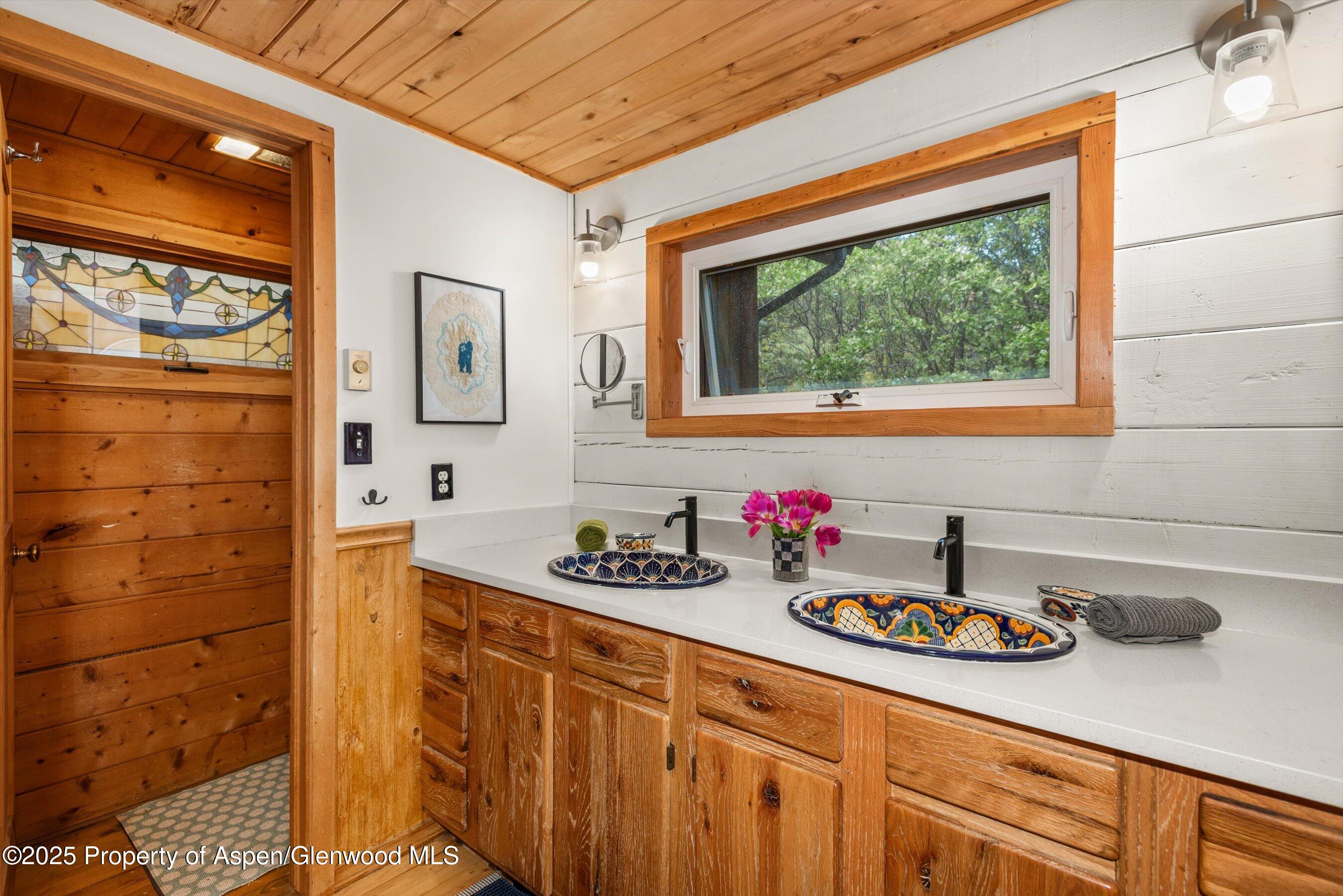 166 Ute Trail Carbondale CO 81623